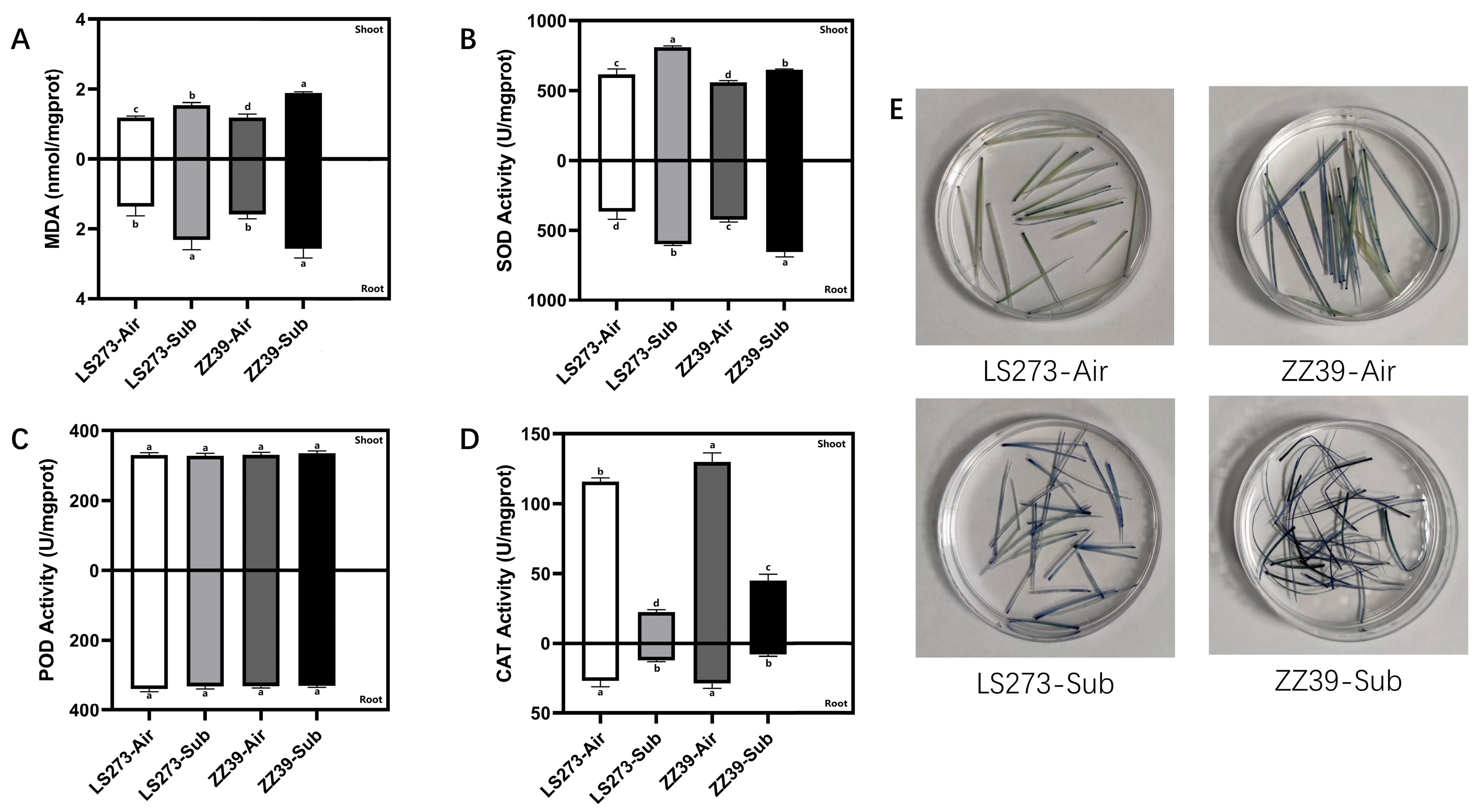 Agronomy 13 00171 g002