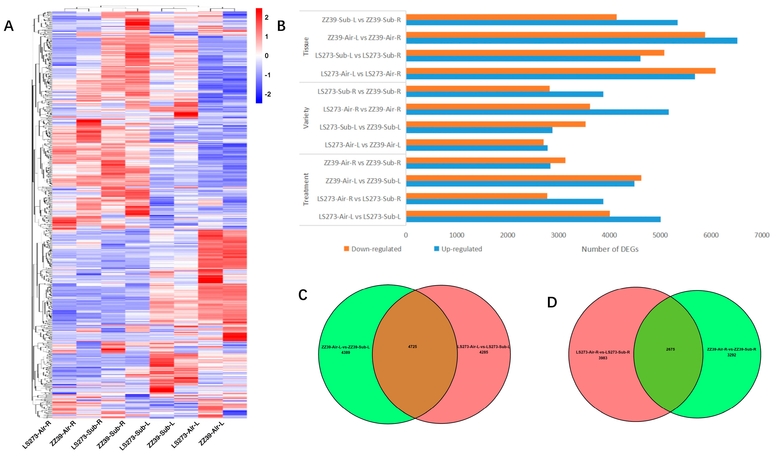 Agronomy 13 00171 g005