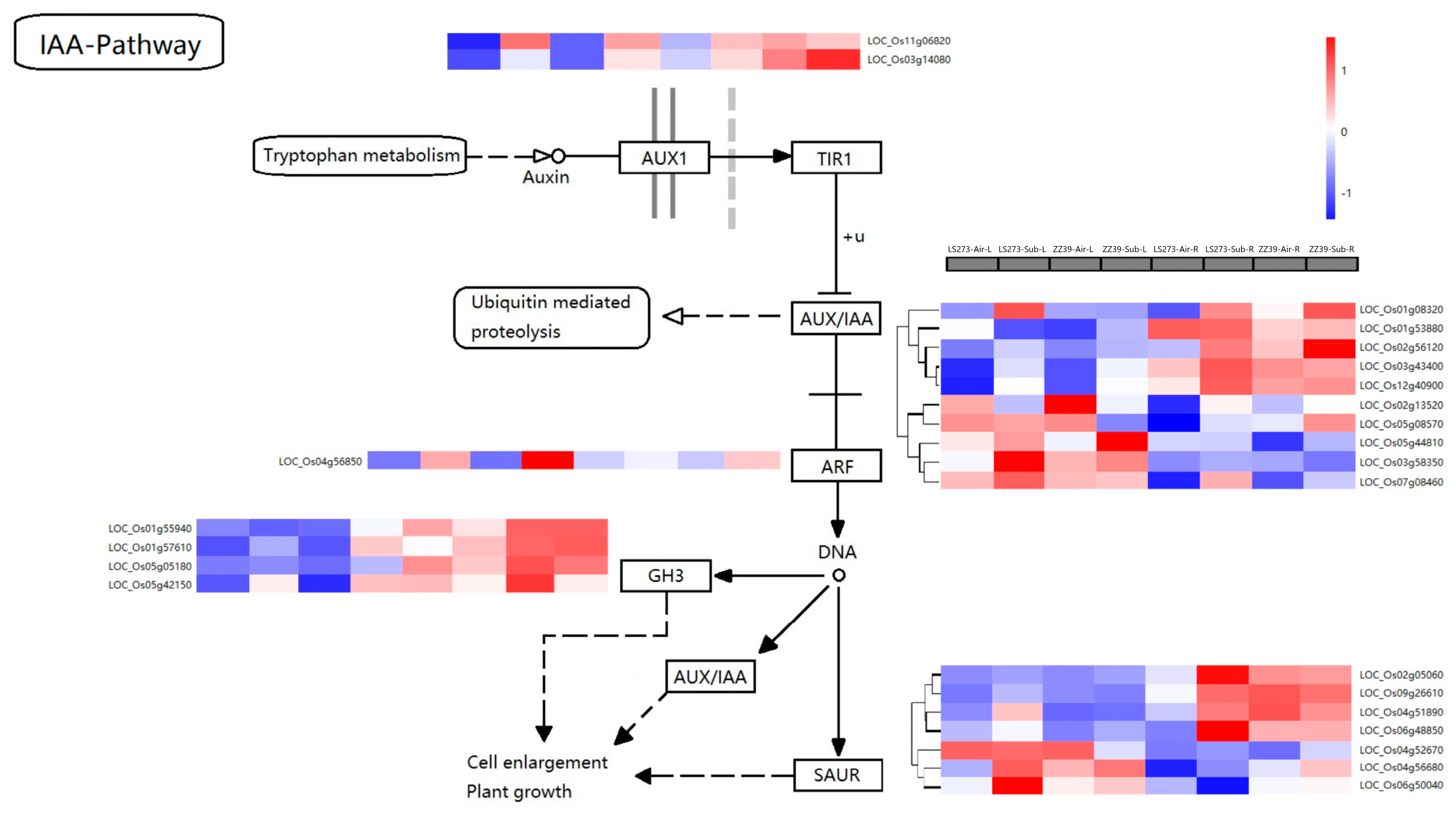 Agronomy 13 00171 g007