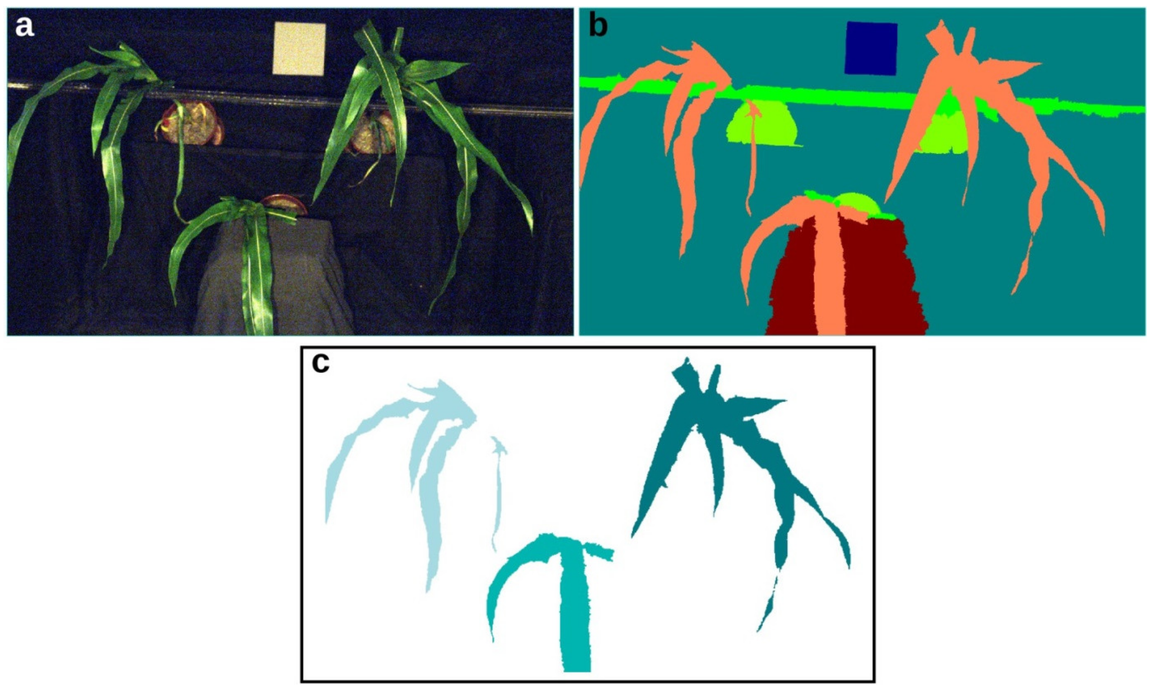 Agronomy 13 00178 g001 Agronomy 13 00178 g001
