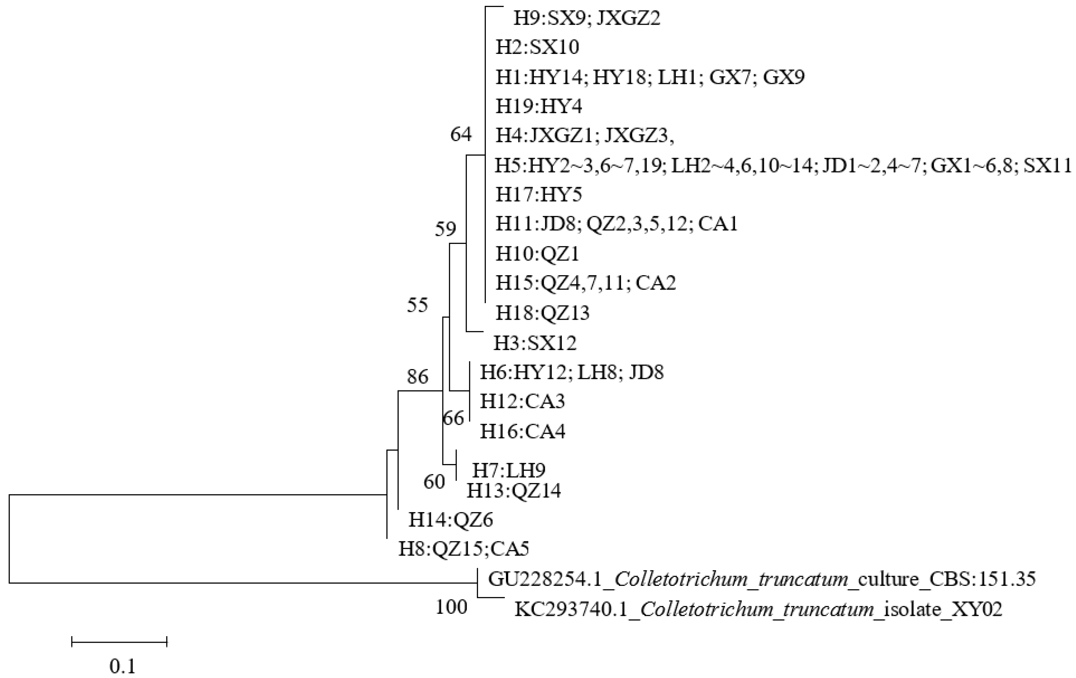 Agronomy 13 00184 g003