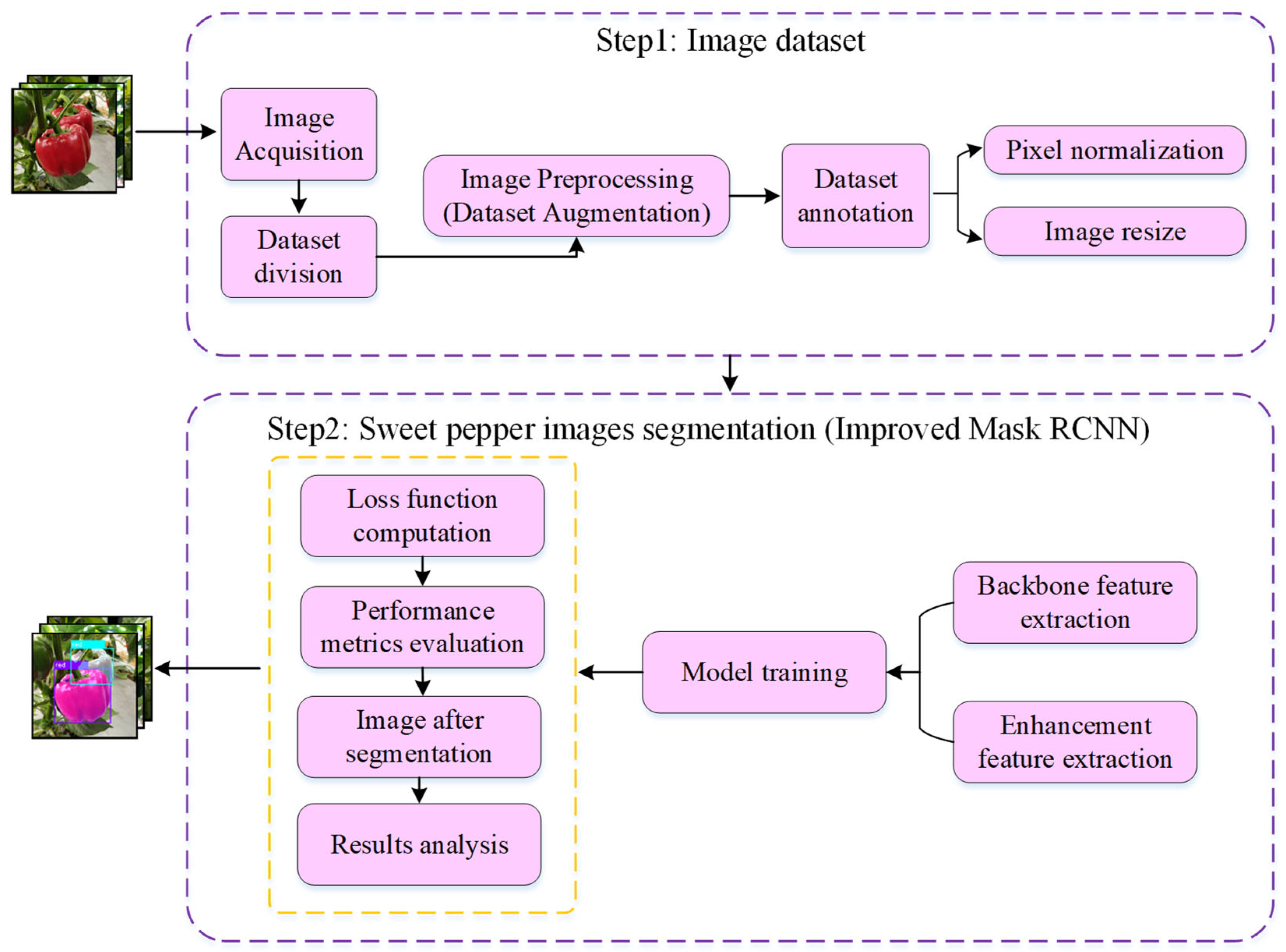 Agronomy 13 00196 g001 Agronomy 13 00196 g001