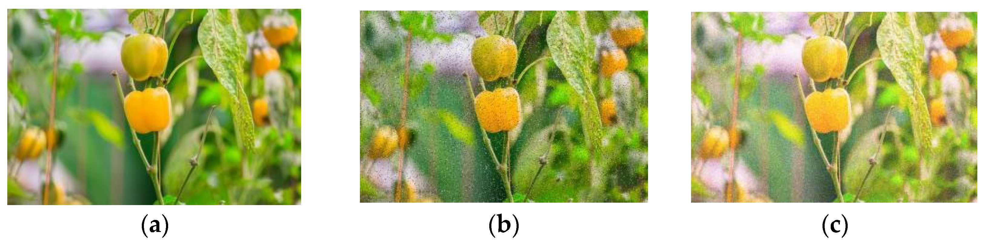 Agronomy 13 00196 g005 Agronomy 13 00196 g005