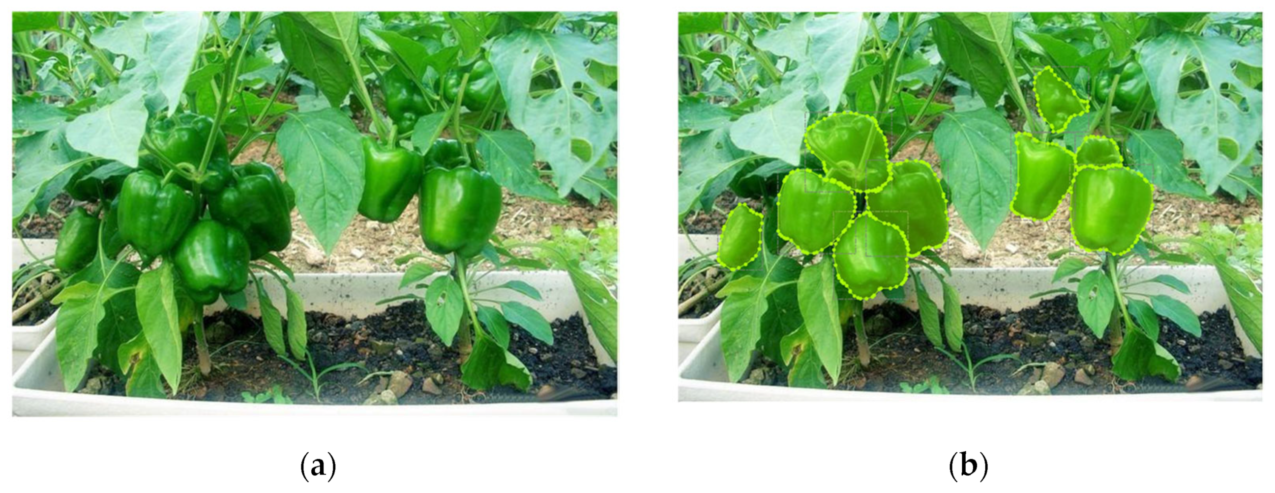 Agronomy 13 00196 g006 Agronomy 13 00196 g006