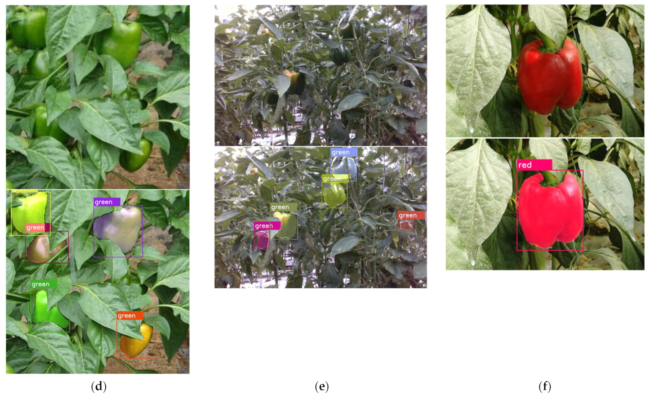 Agronomy 13 00196 g009b Agronomy 13 00196 g009b