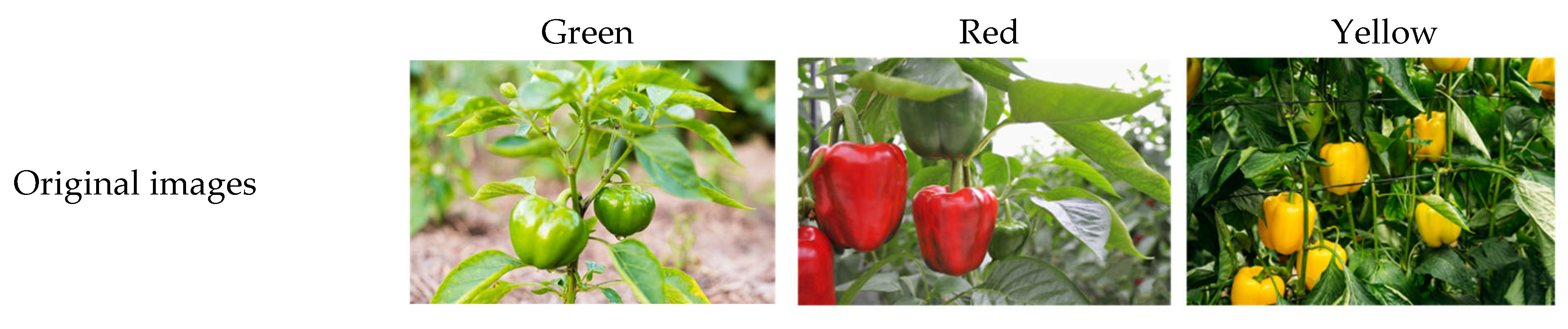 Agronomy 13 00196 g010a Agronomy 13 00196 g010a