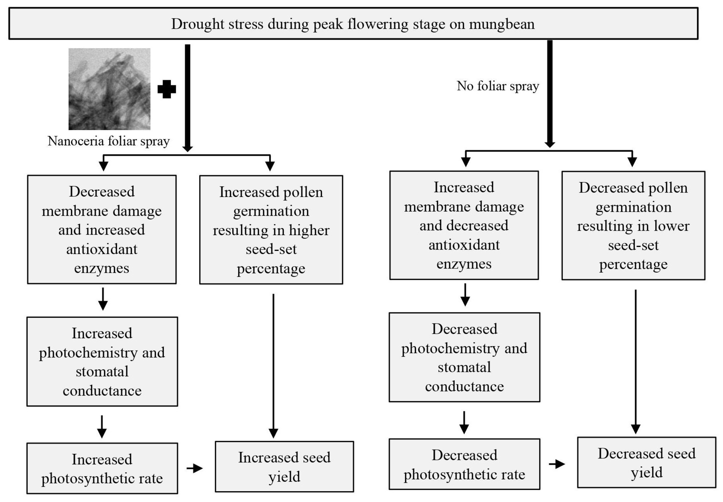 Agronomy 13 00201 g009 Agronomy 13 00201 g009
