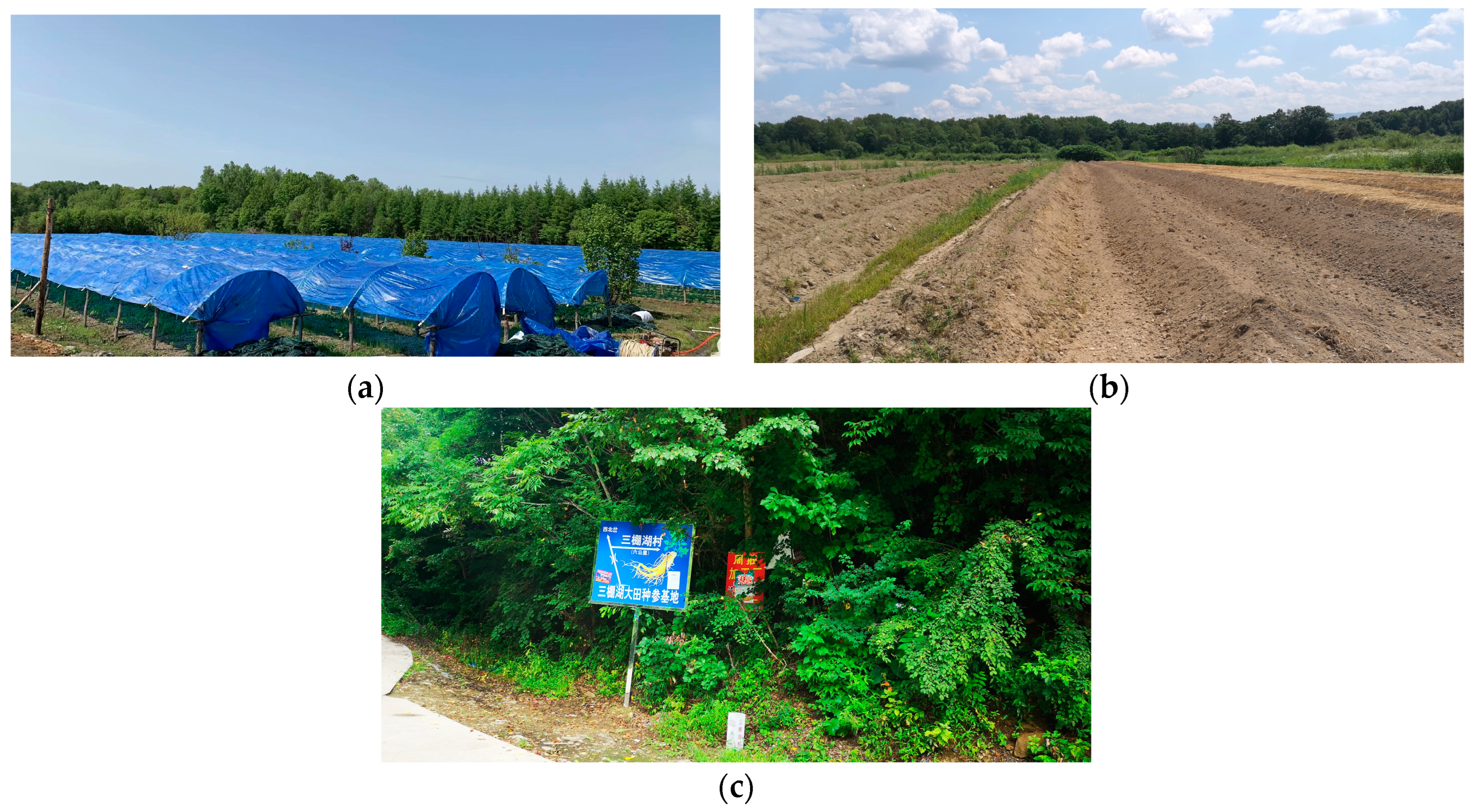 Agronomy 13 00210 g001