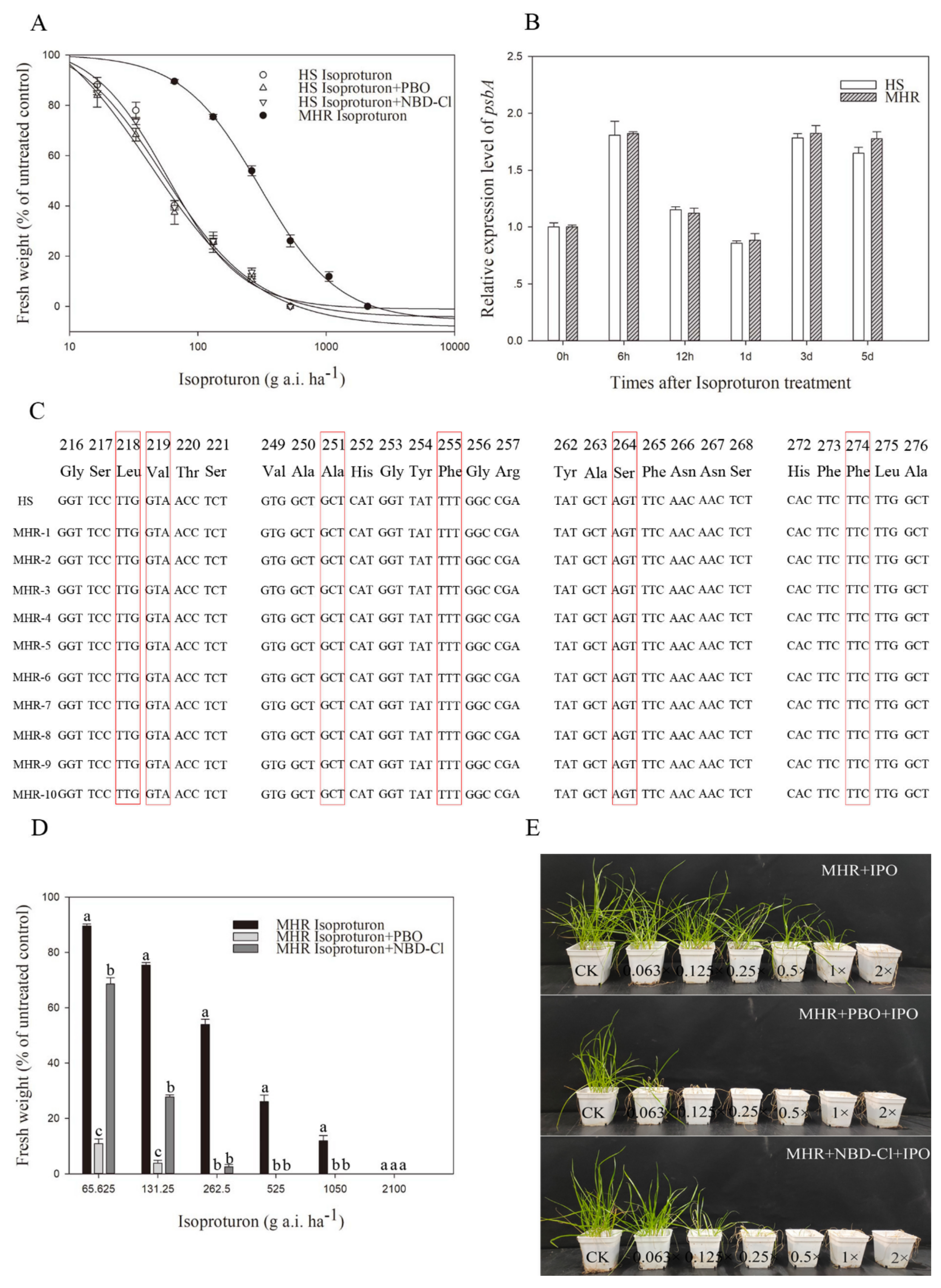 Agronomy 13 00216 g003 Agronomy 13 00216 g003