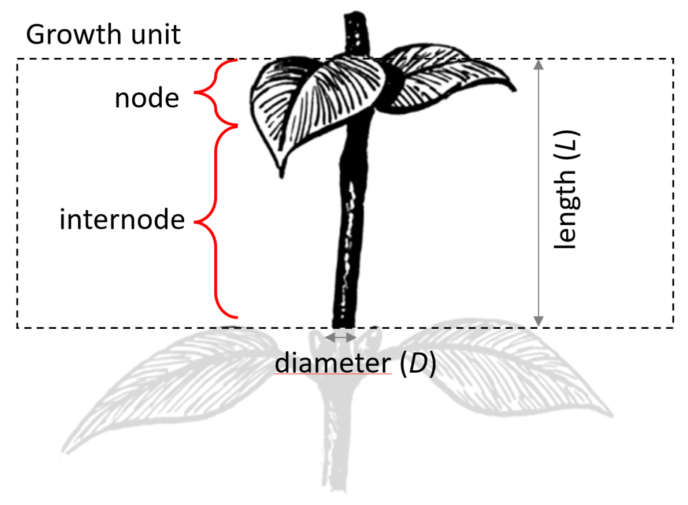 Agronomy 13 00218 g001 Agronomy 13 00218 g001