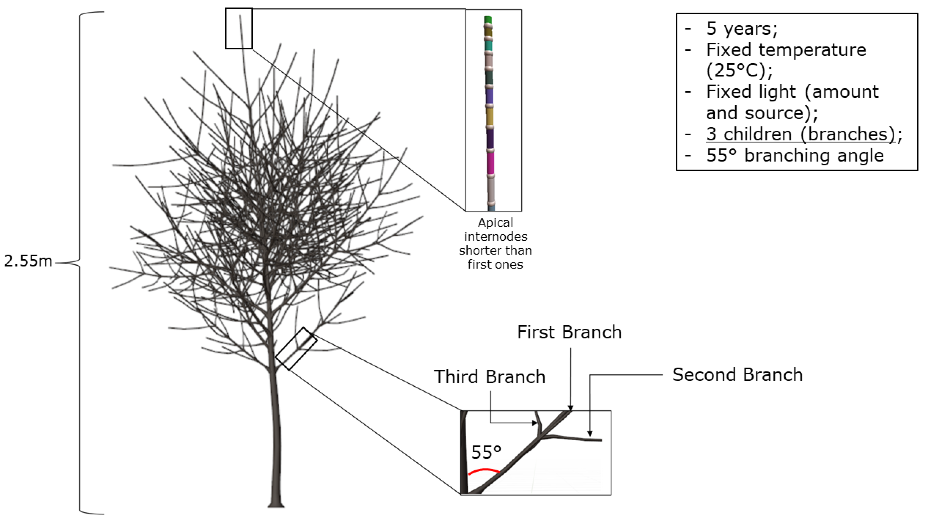Agronomy 13 00218 g008 Agronomy 13 00218 g008