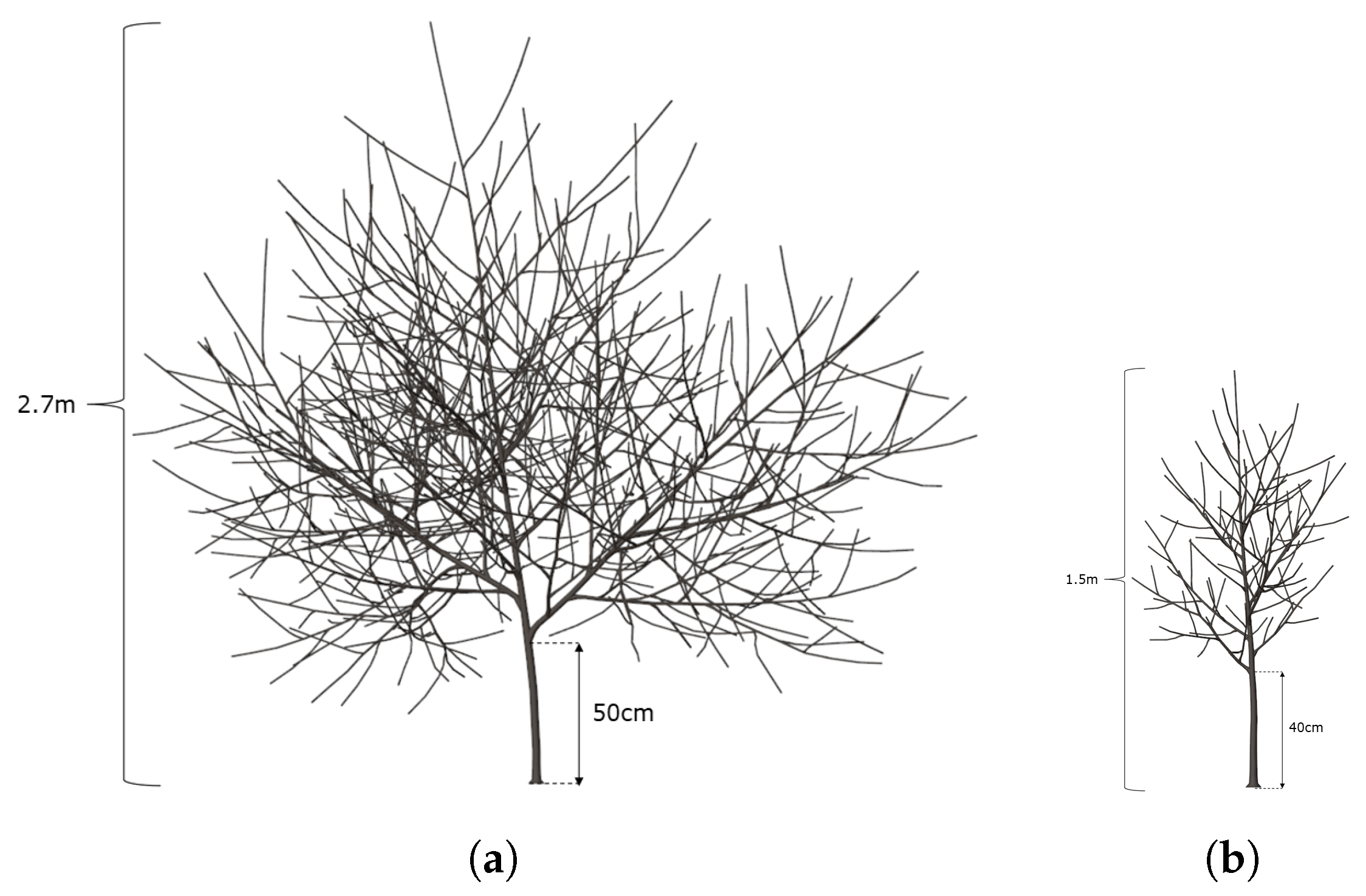 Agronomy 13 00218 g011 Agronomy 13 00218 g011