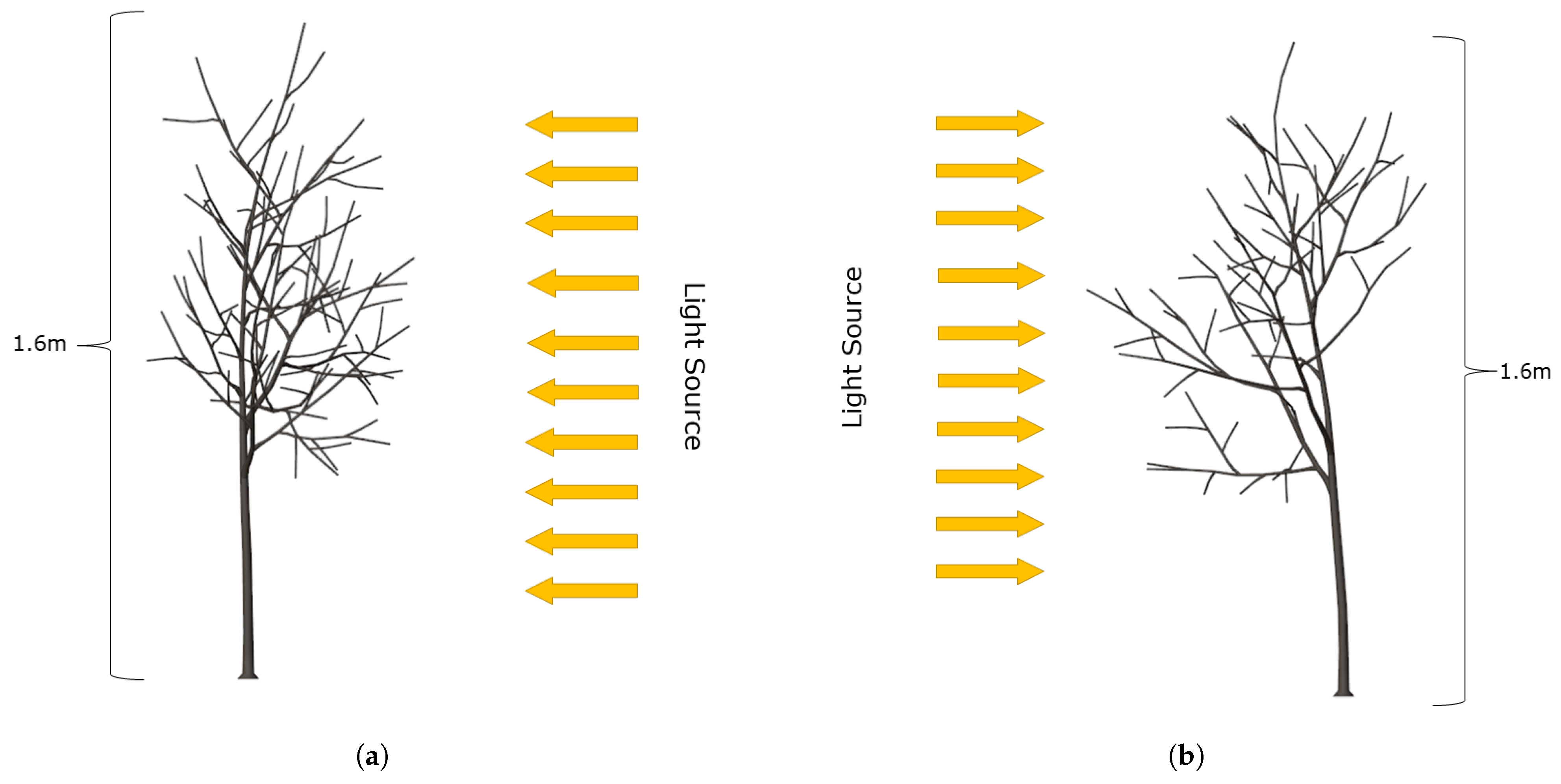 Agronomy 13 00218 g013 Agronomy 13 00218 g013