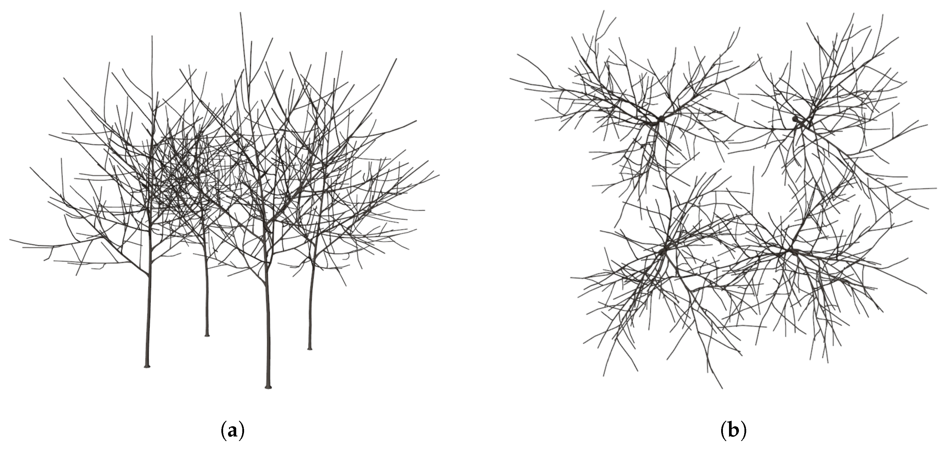 Agronomy 13 00218 g016 Agronomy 13 00218 g016