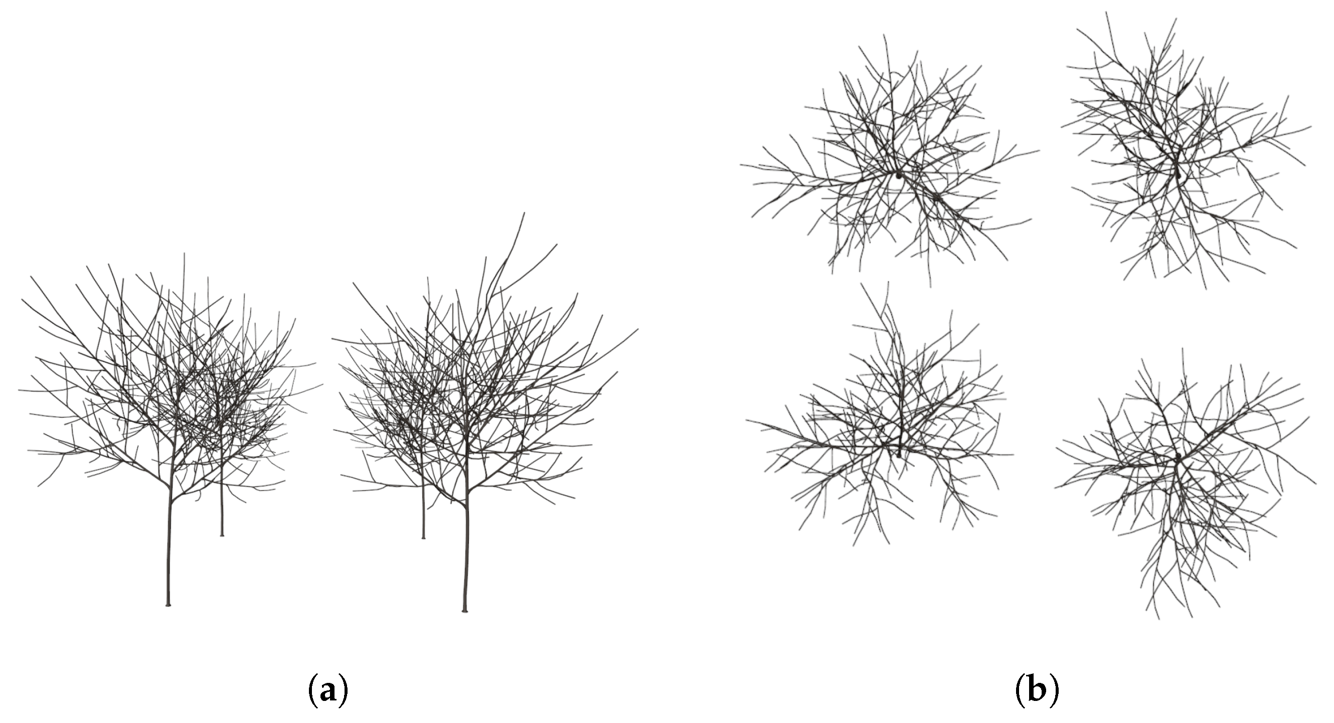 Agronomy 13 00218 g017 Agronomy 13 00218 g017