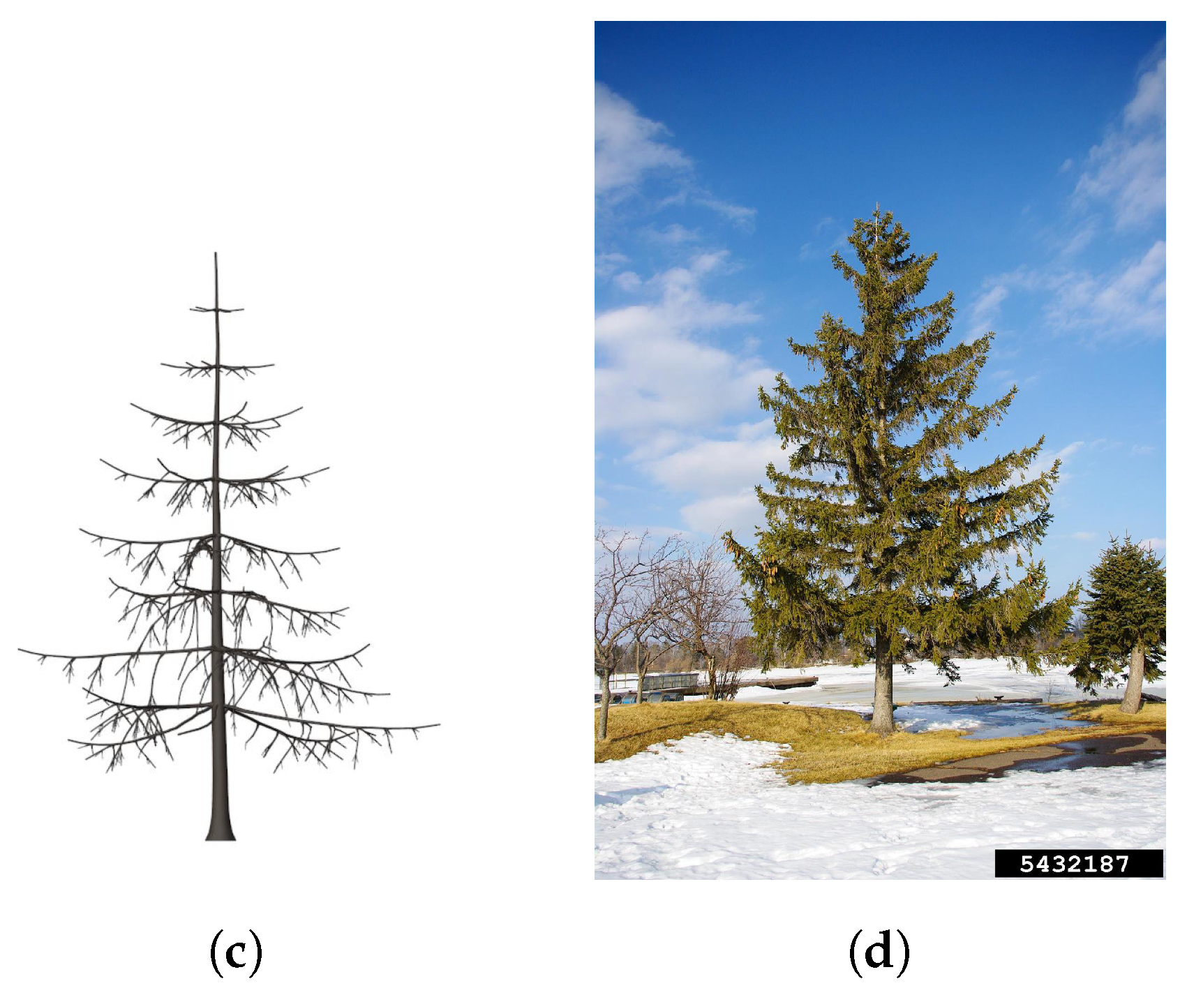 Agronomy 13 00218 g018b Agronomy 13 00218 g018b