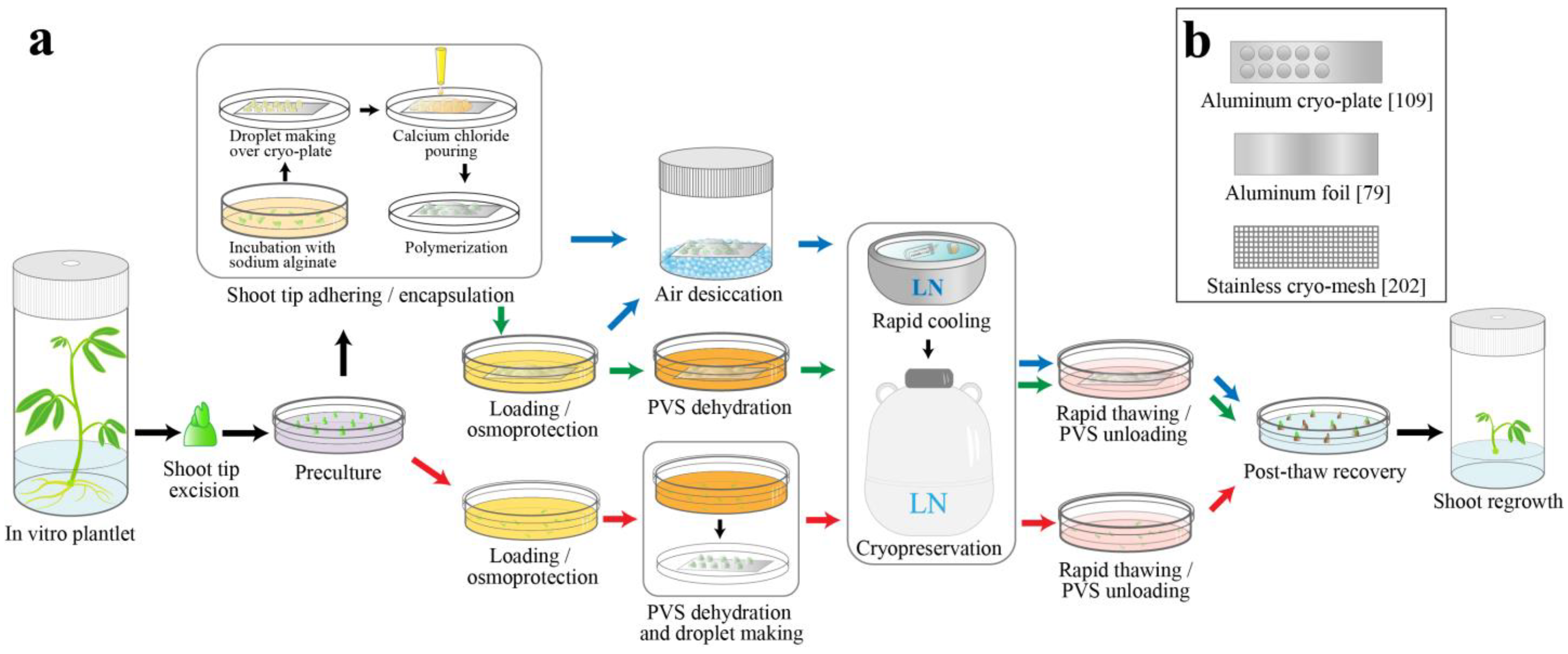Agronomy 13 00219 g002 Agronomy 13 00219 g002