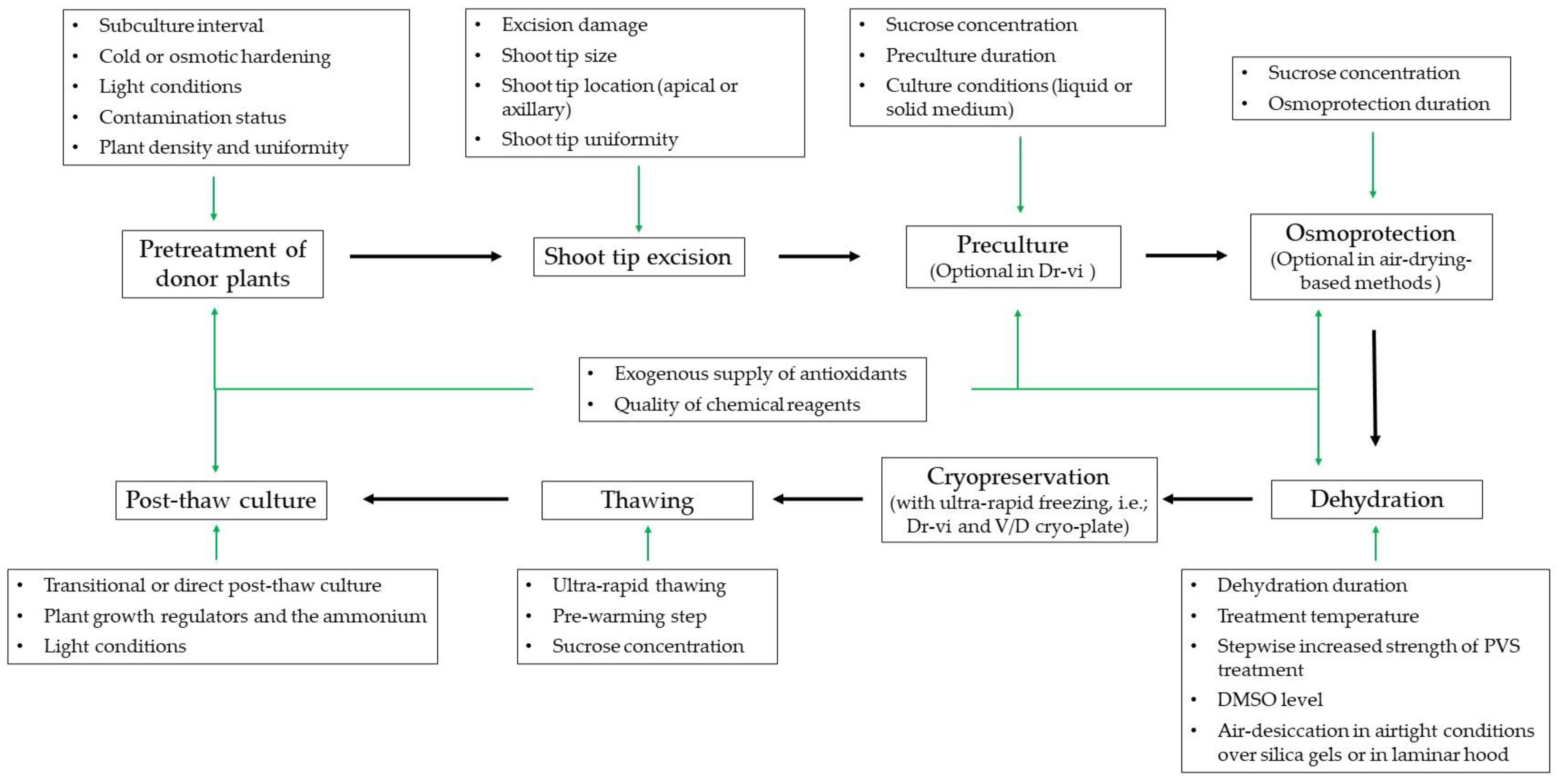 Agronomy 13 00219 g003 Agronomy 13 00219 g003