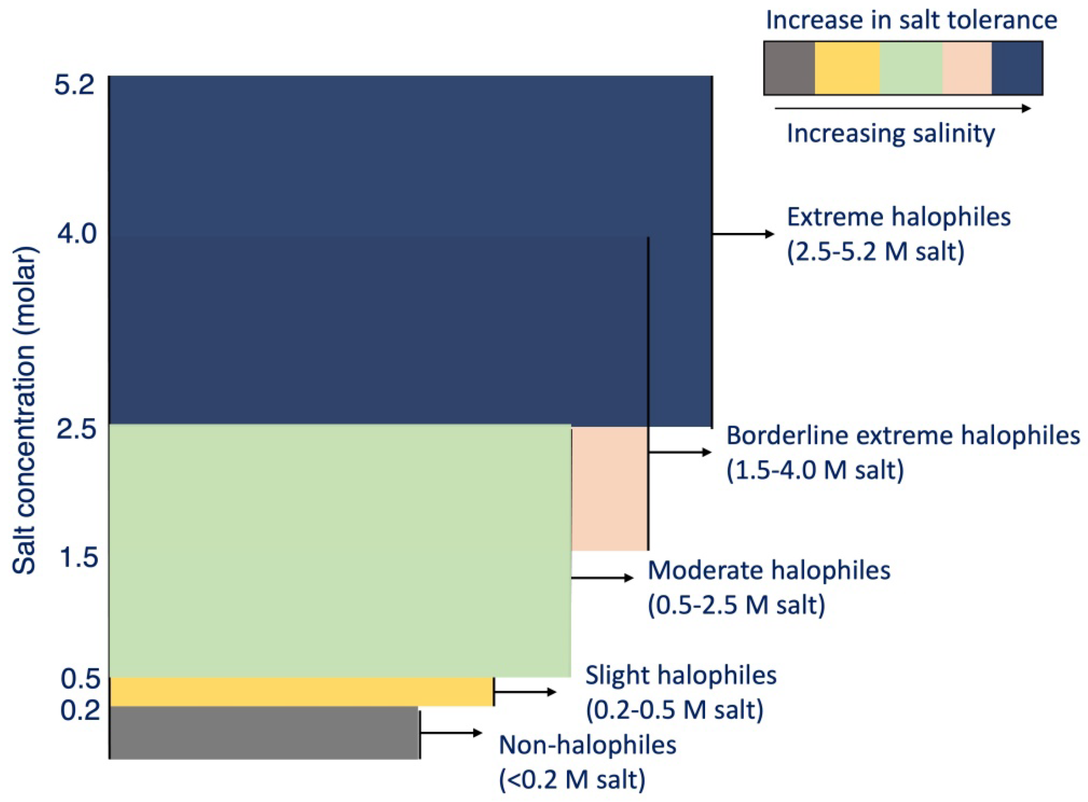 Agronomy 13 00220 g006