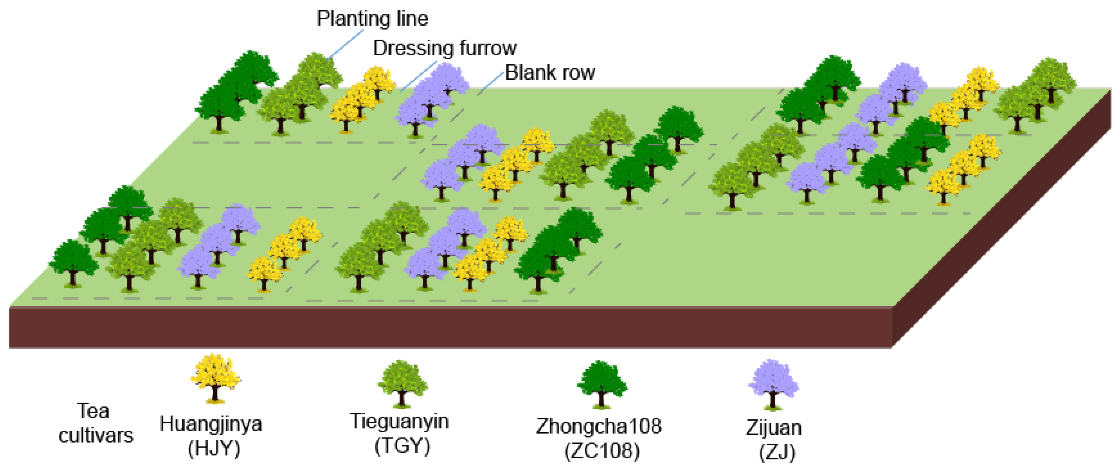 Agronomy 13 00221 g001