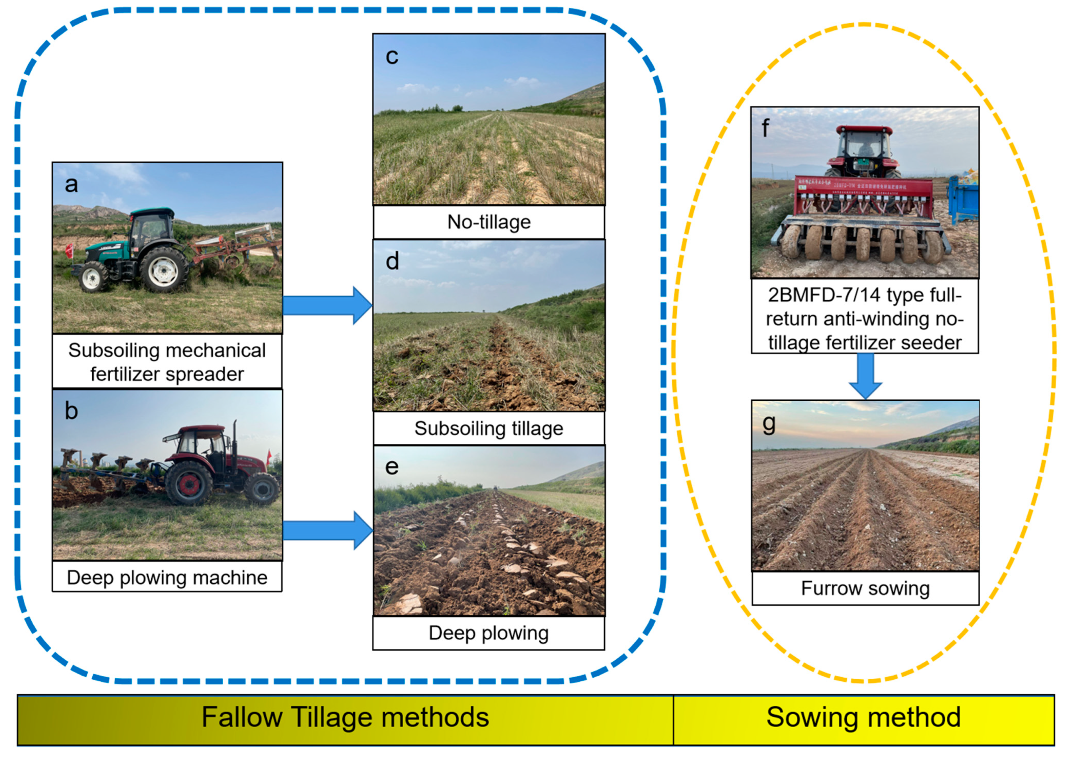 Agronomy 13 00224 g001 Agronomy 13 00224 g001
