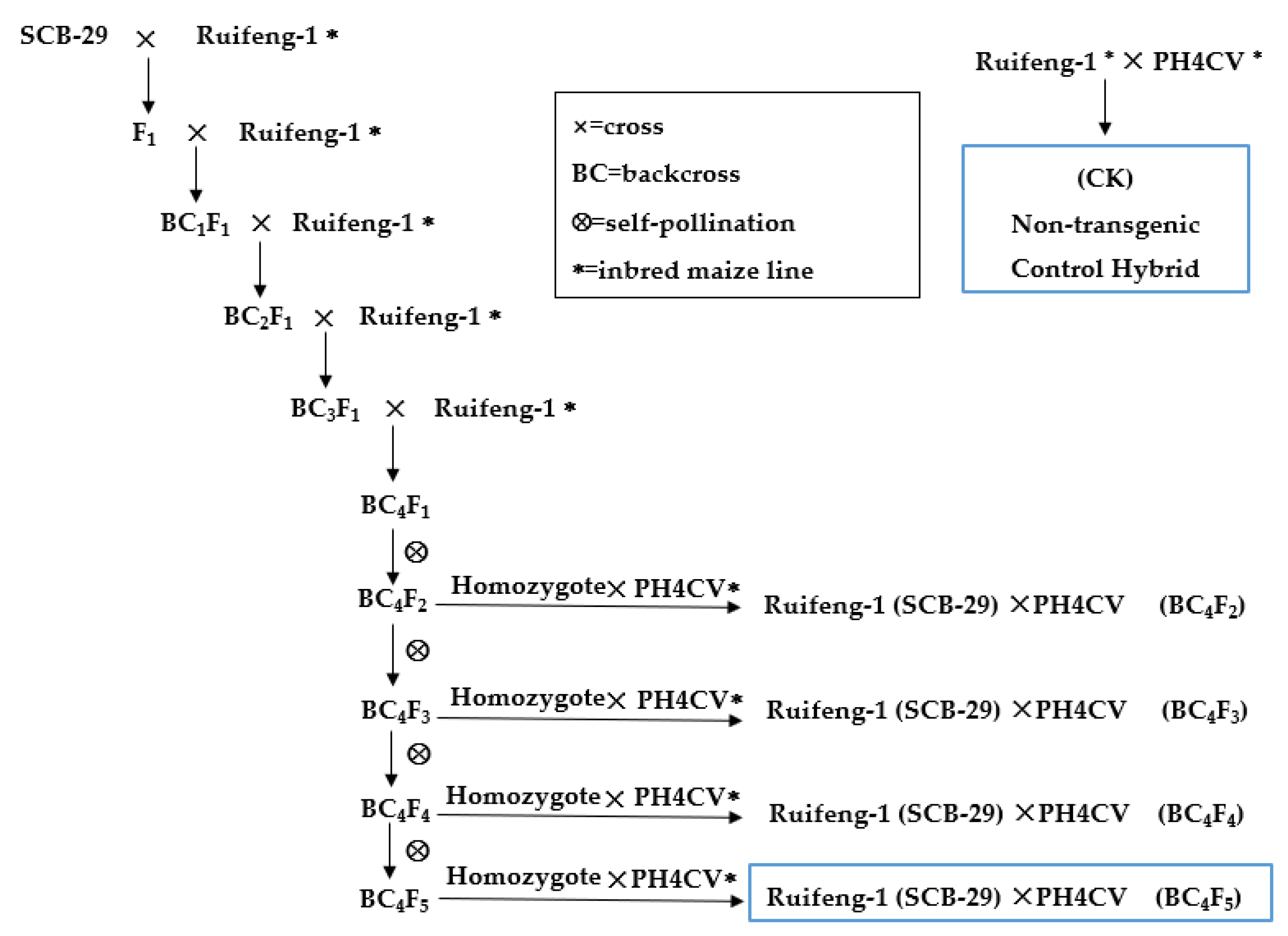 Agronomy 13 00226 g002