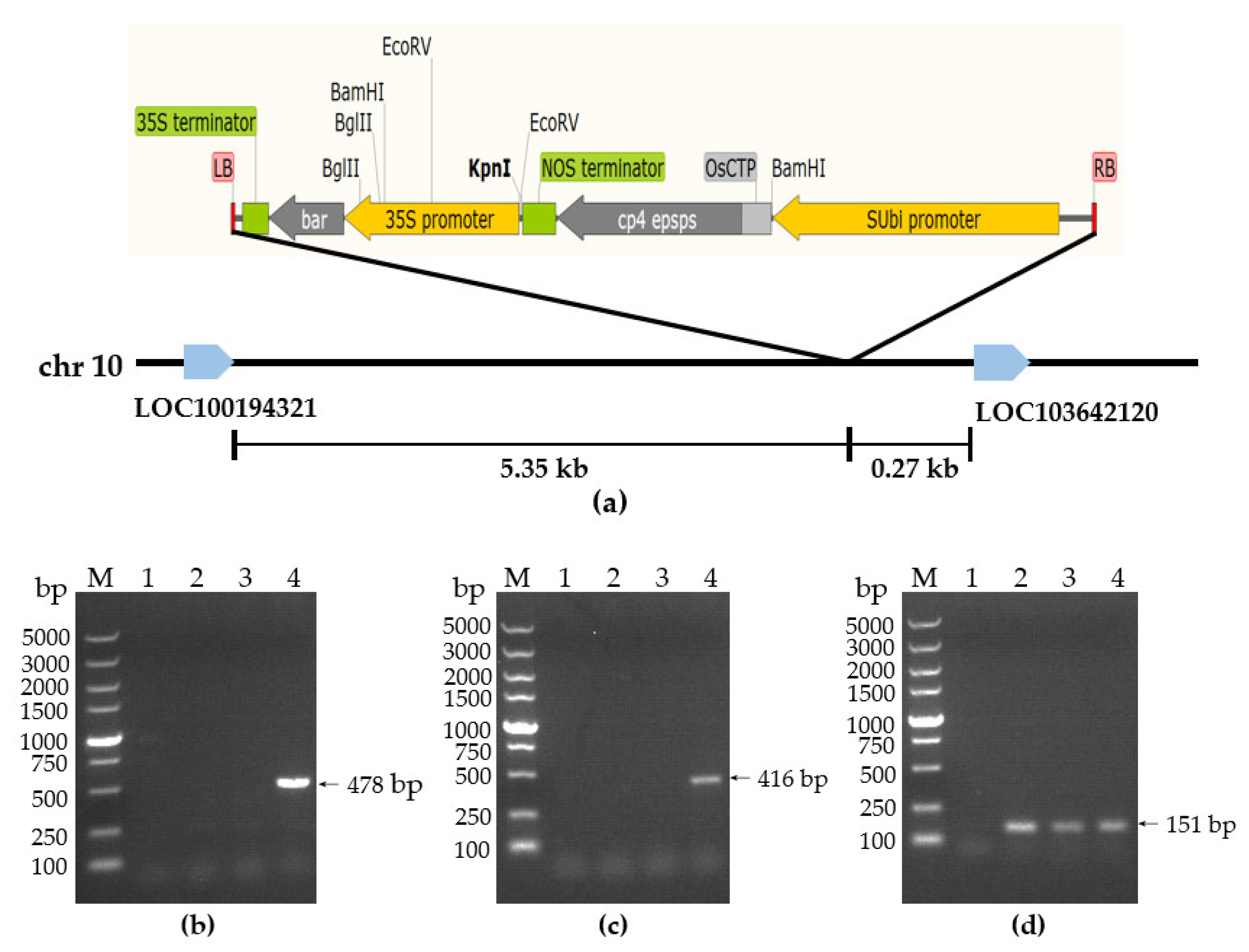 Agronomy 13 00226 g003