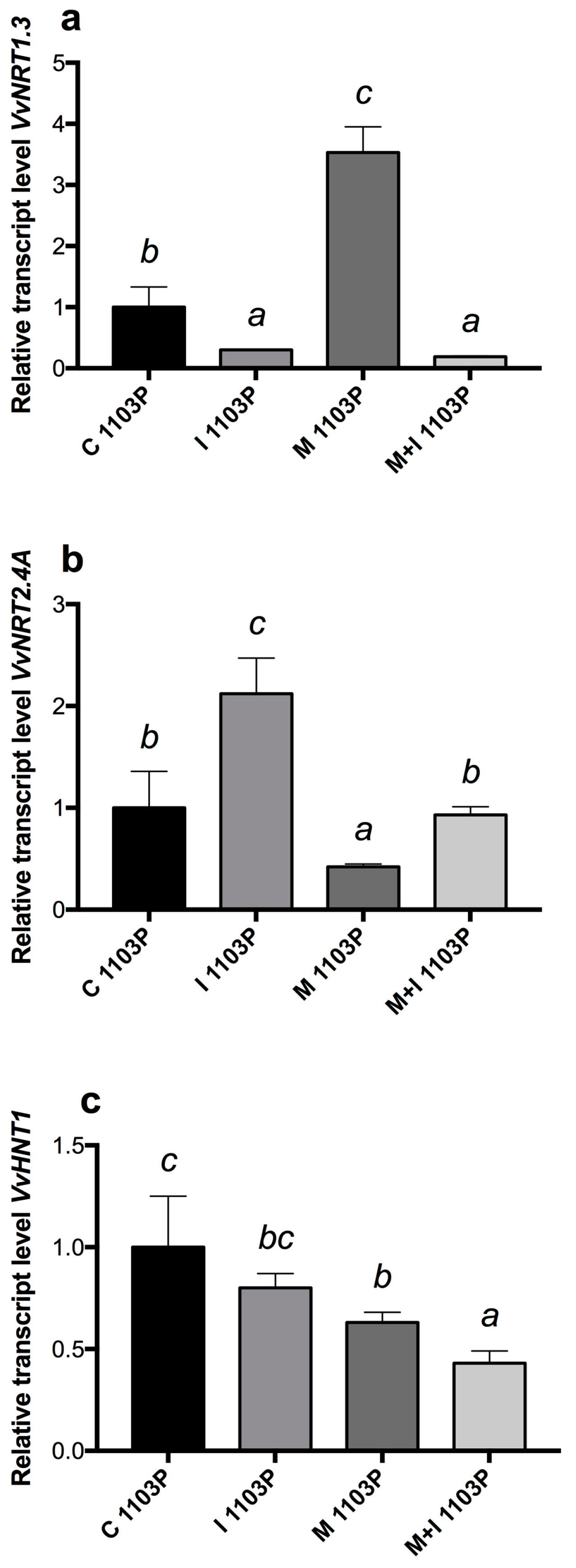 Agronomy 13 00229 g001 Agronomy 13 00229 g001