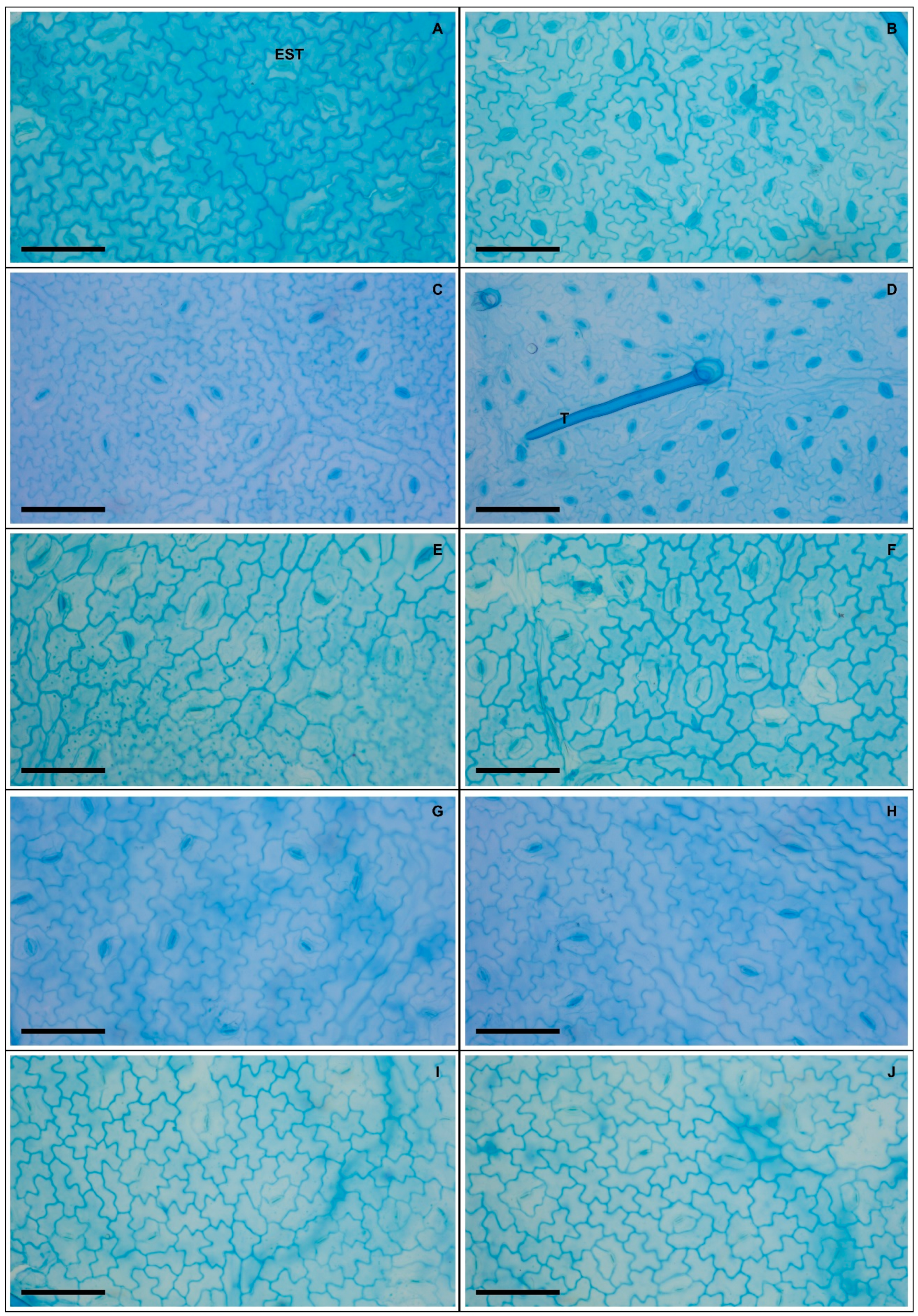 Agronomy 13 00232 g002