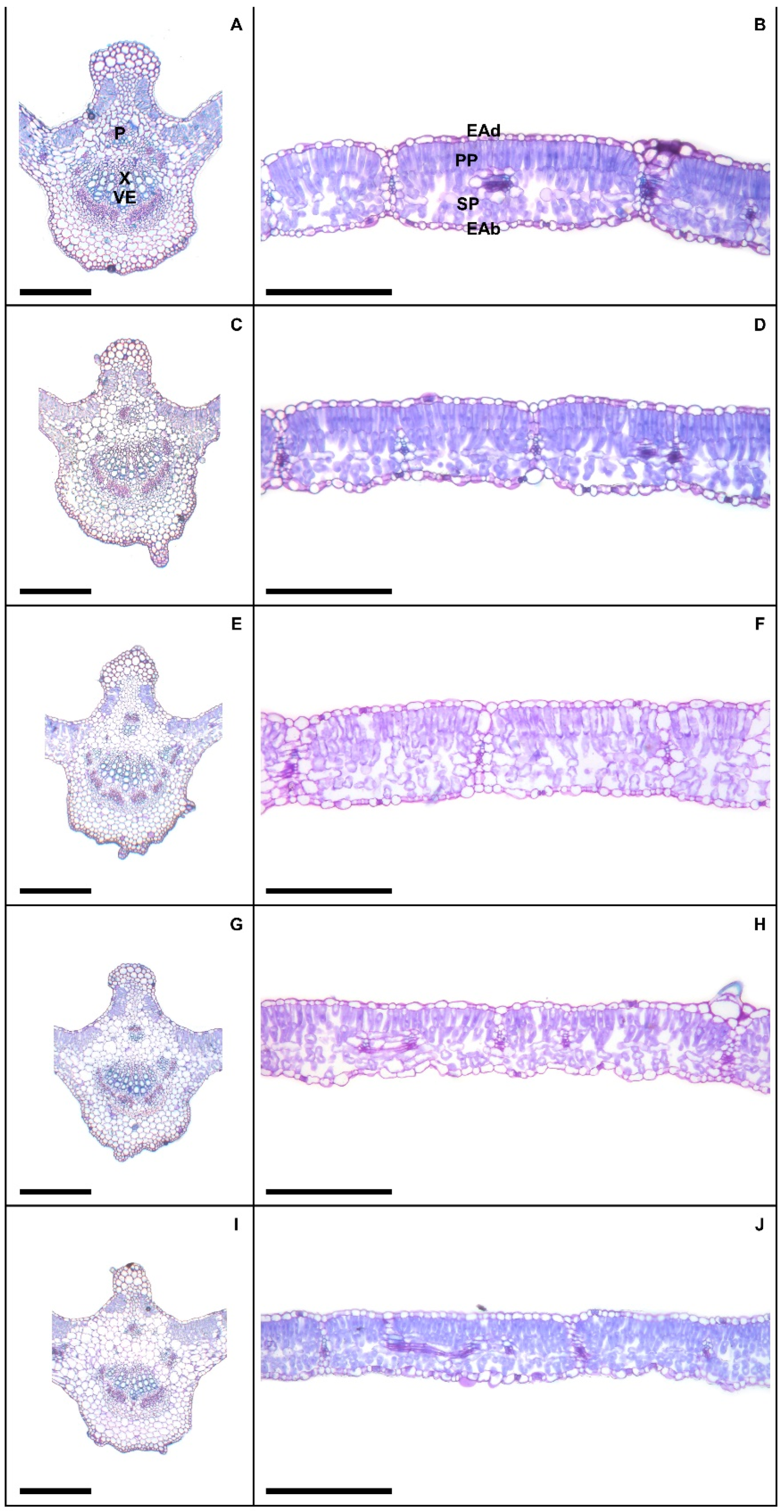 Agronomy 13 00232 g004