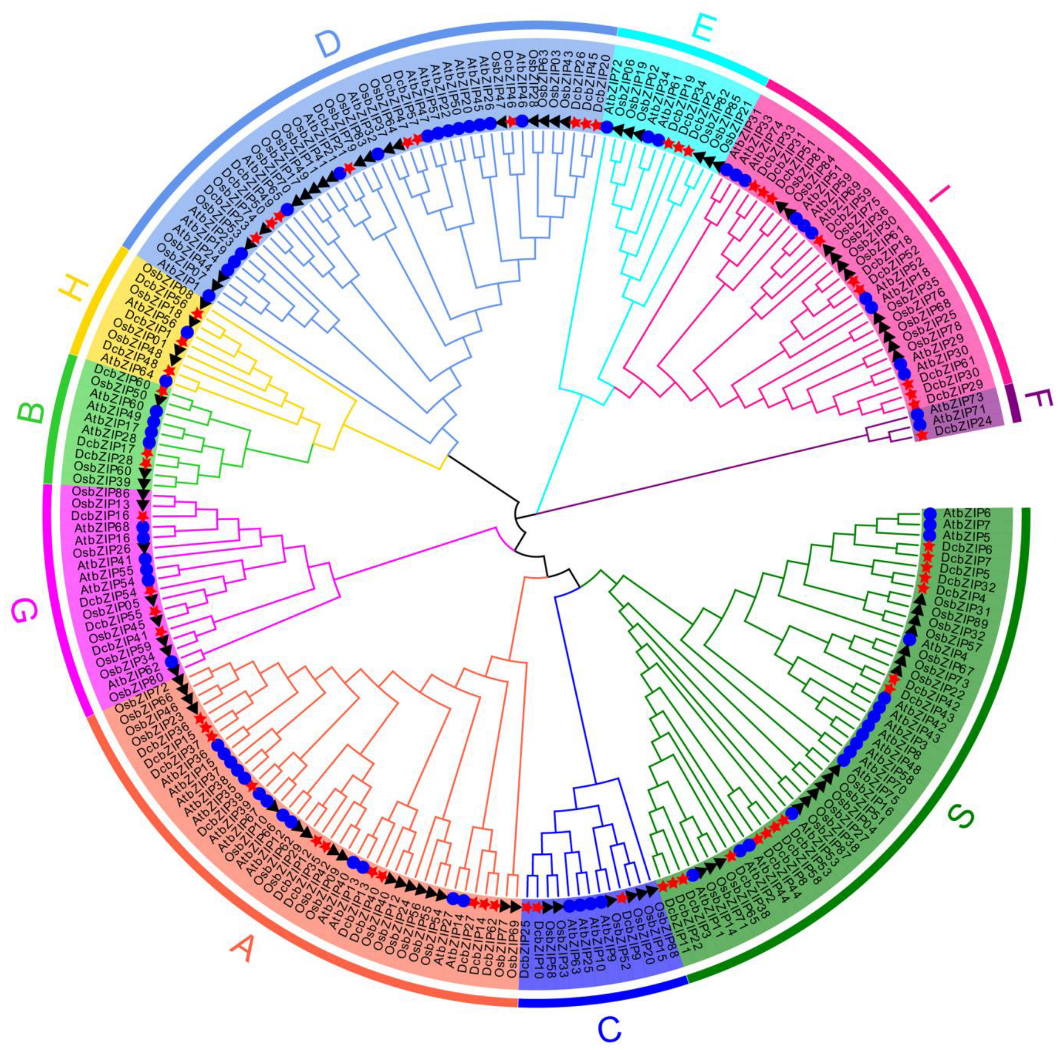 Agronomy 13 00236 g001