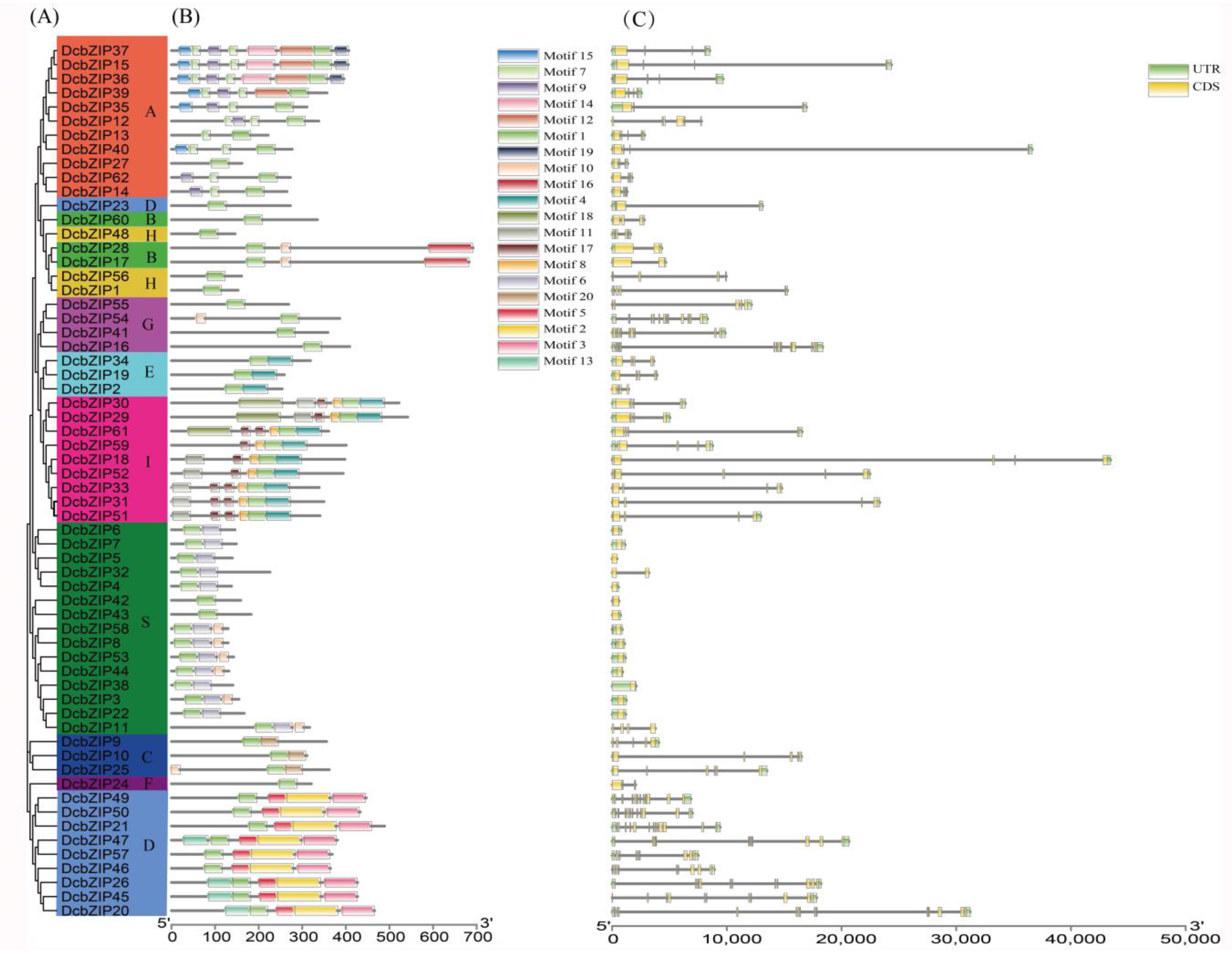 Agronomy 13 00236 g002