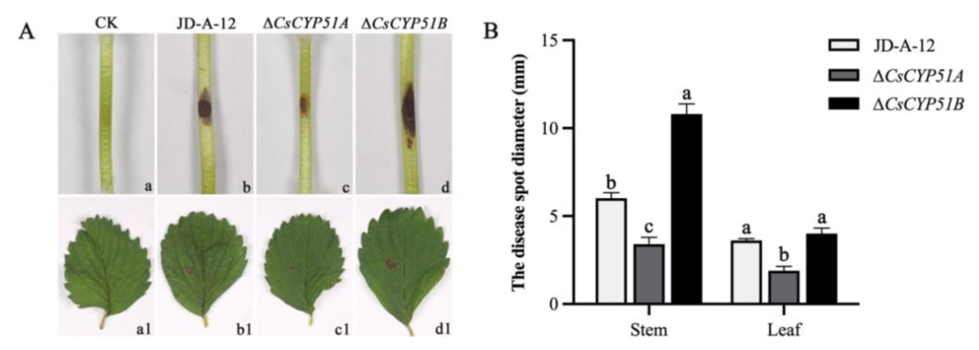 Agronomy 13 00239 g005