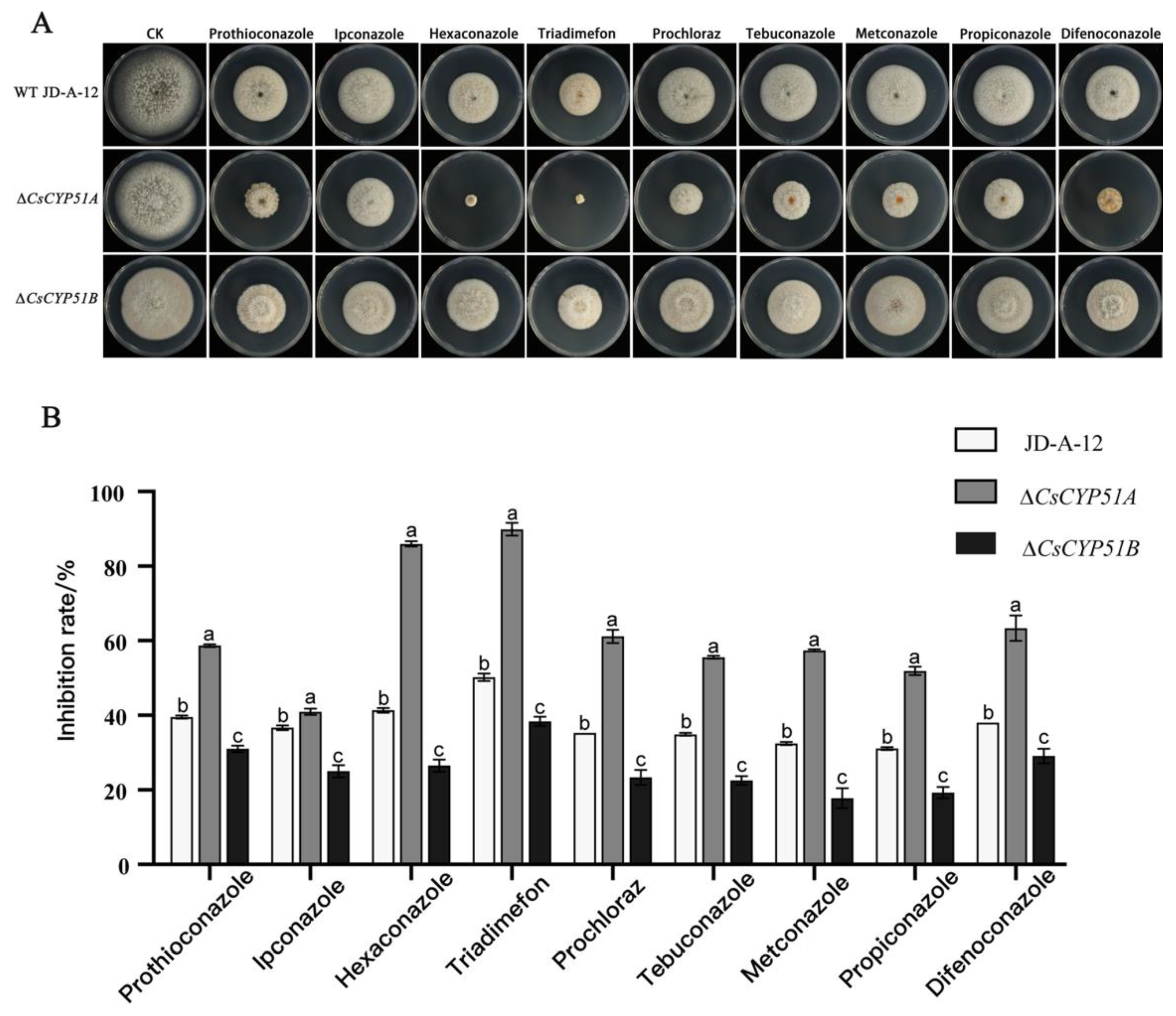 Agronomy 13 00239 g006