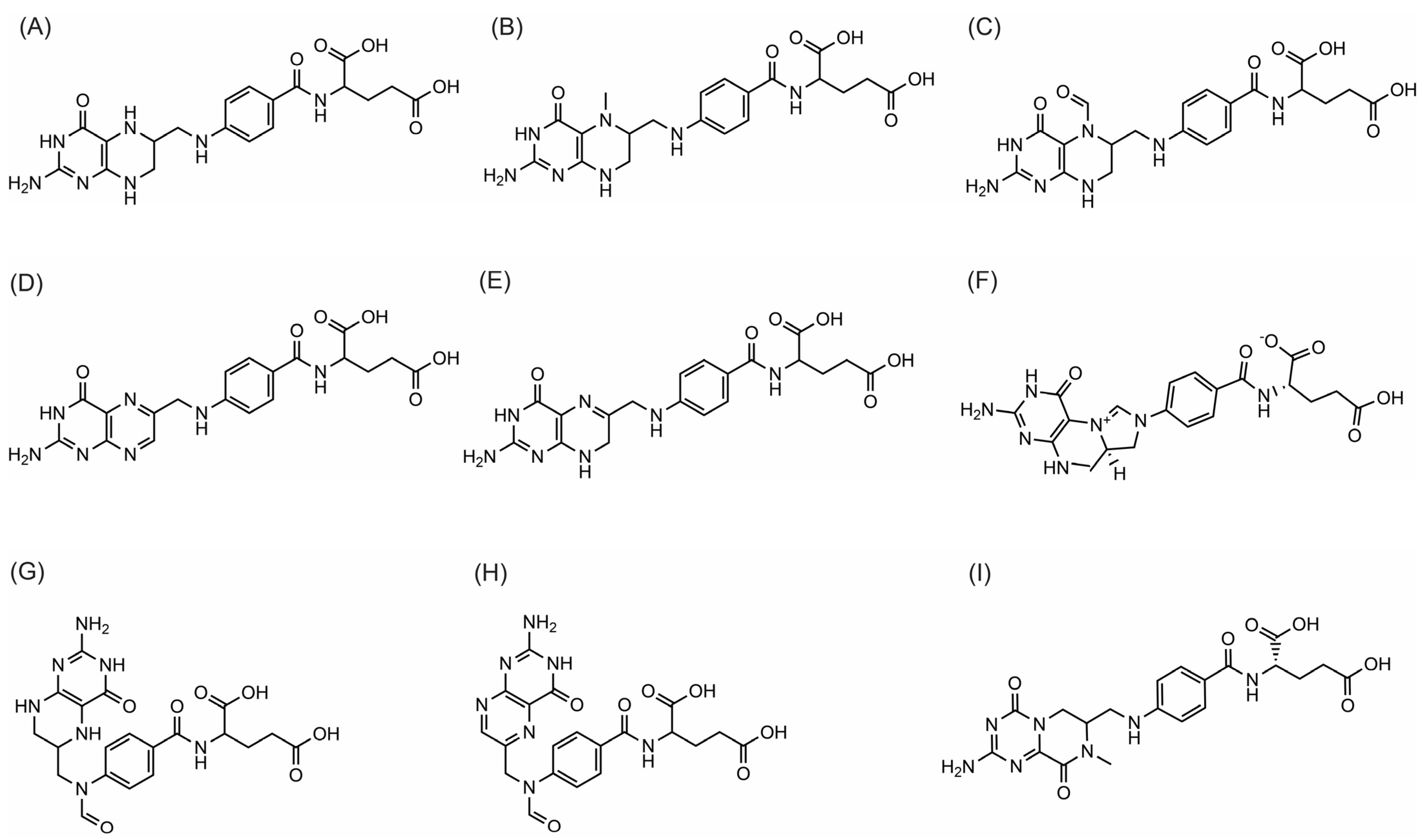 Agronomy 13 00241 g001 550
