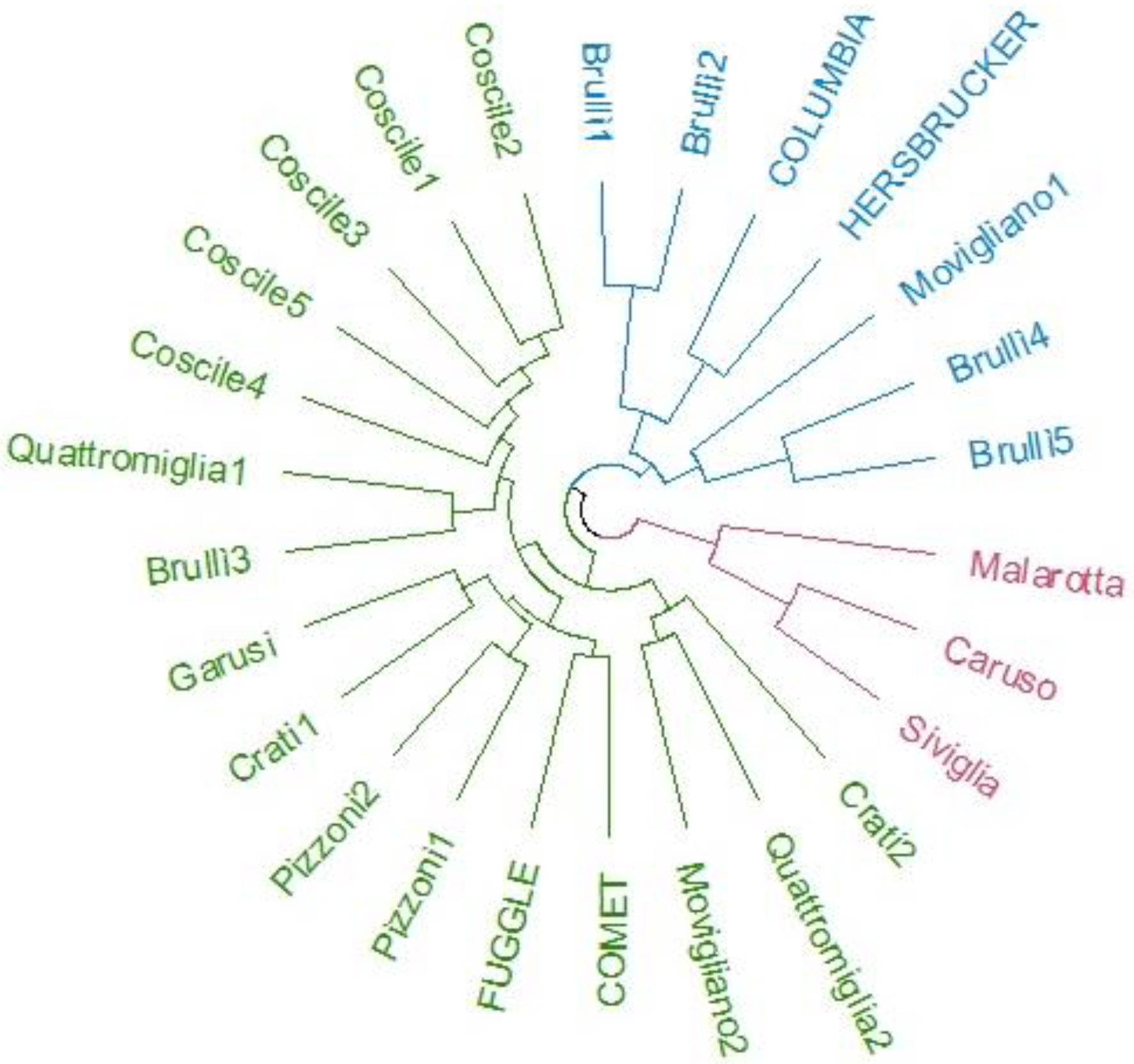 Agronomy 13 00252 g003