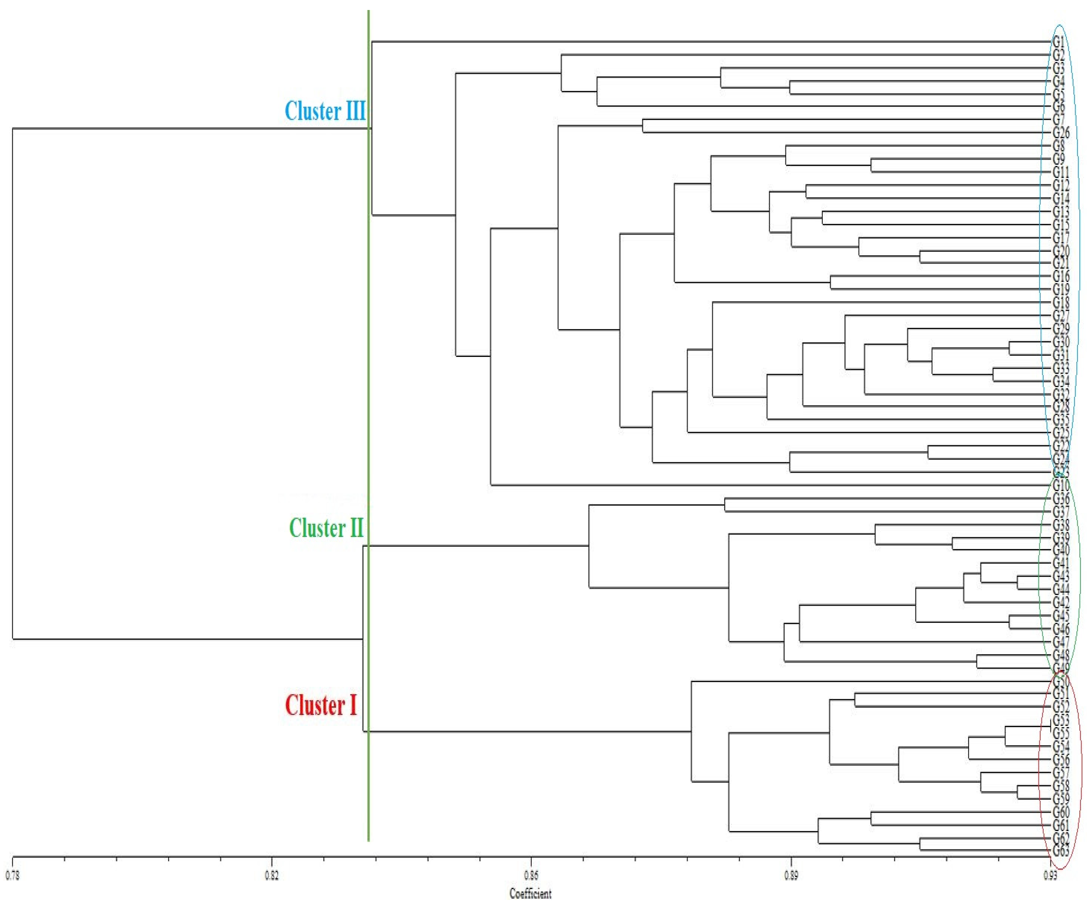 Agronomy 13 00255 g001