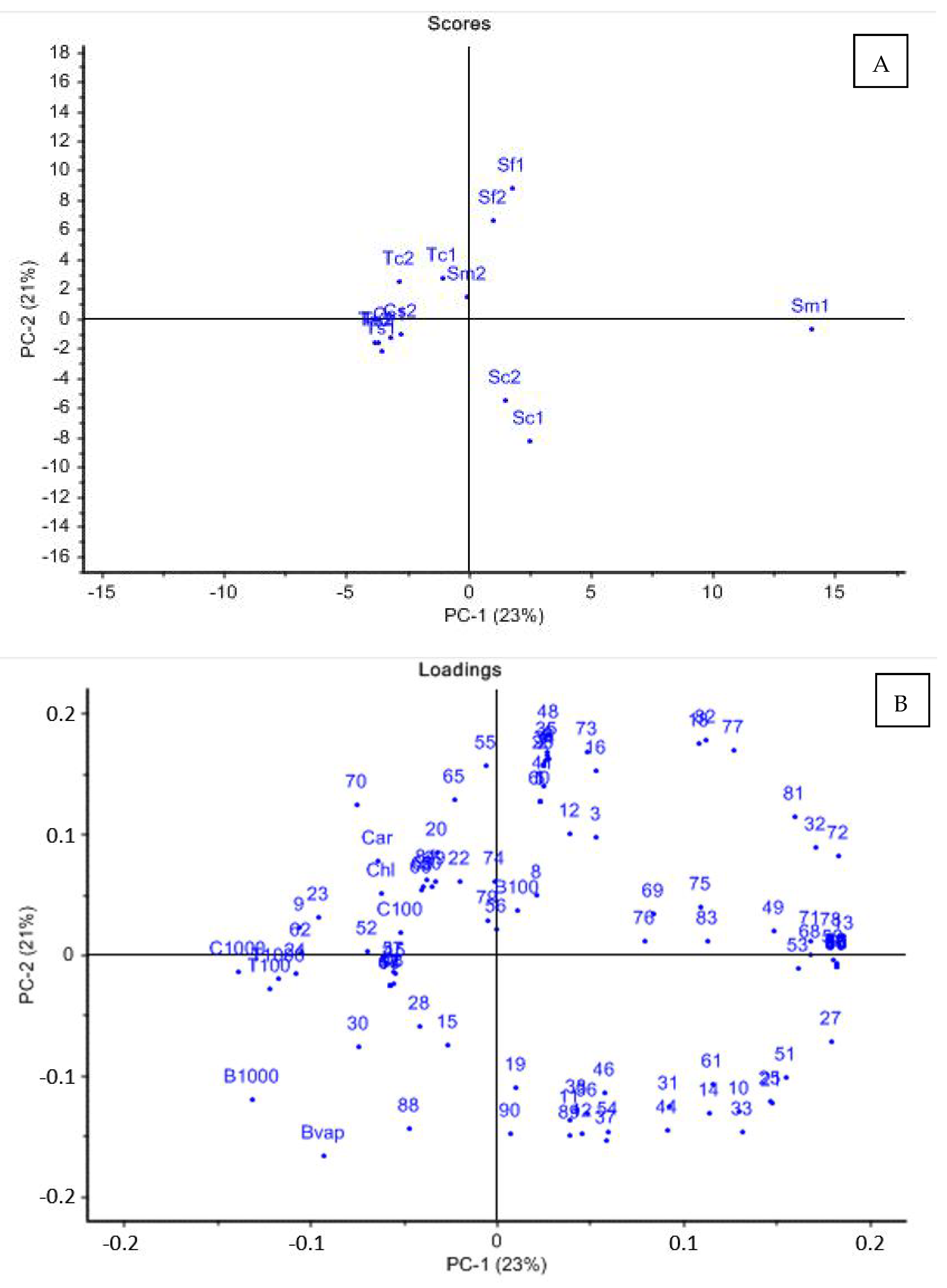 Agronomy 13 00257 g001