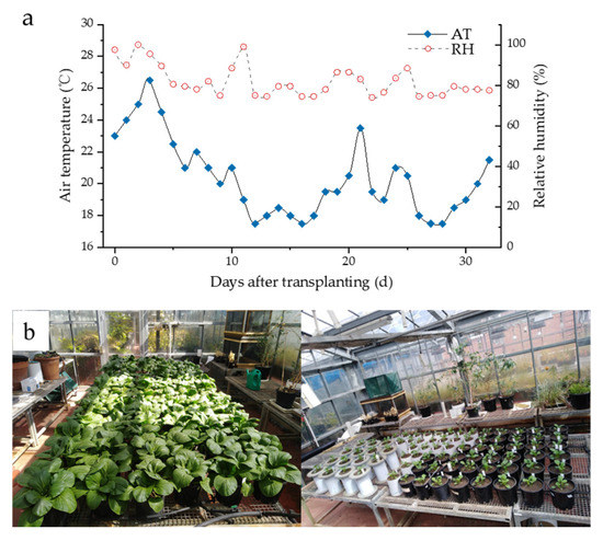 Using 15N Isotope to Evaluate the Effect of Brown Coal Application 