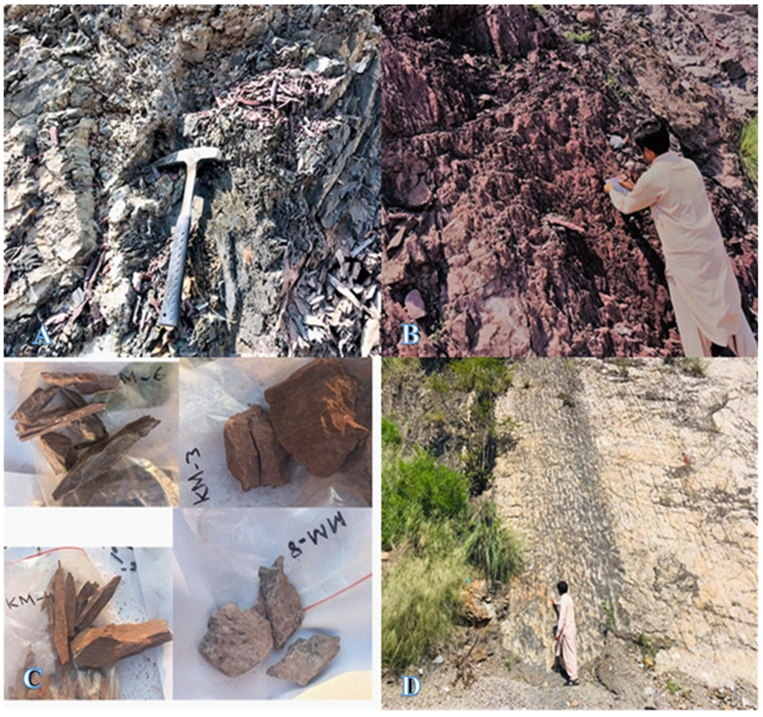 Agronomy 13 00269 g003