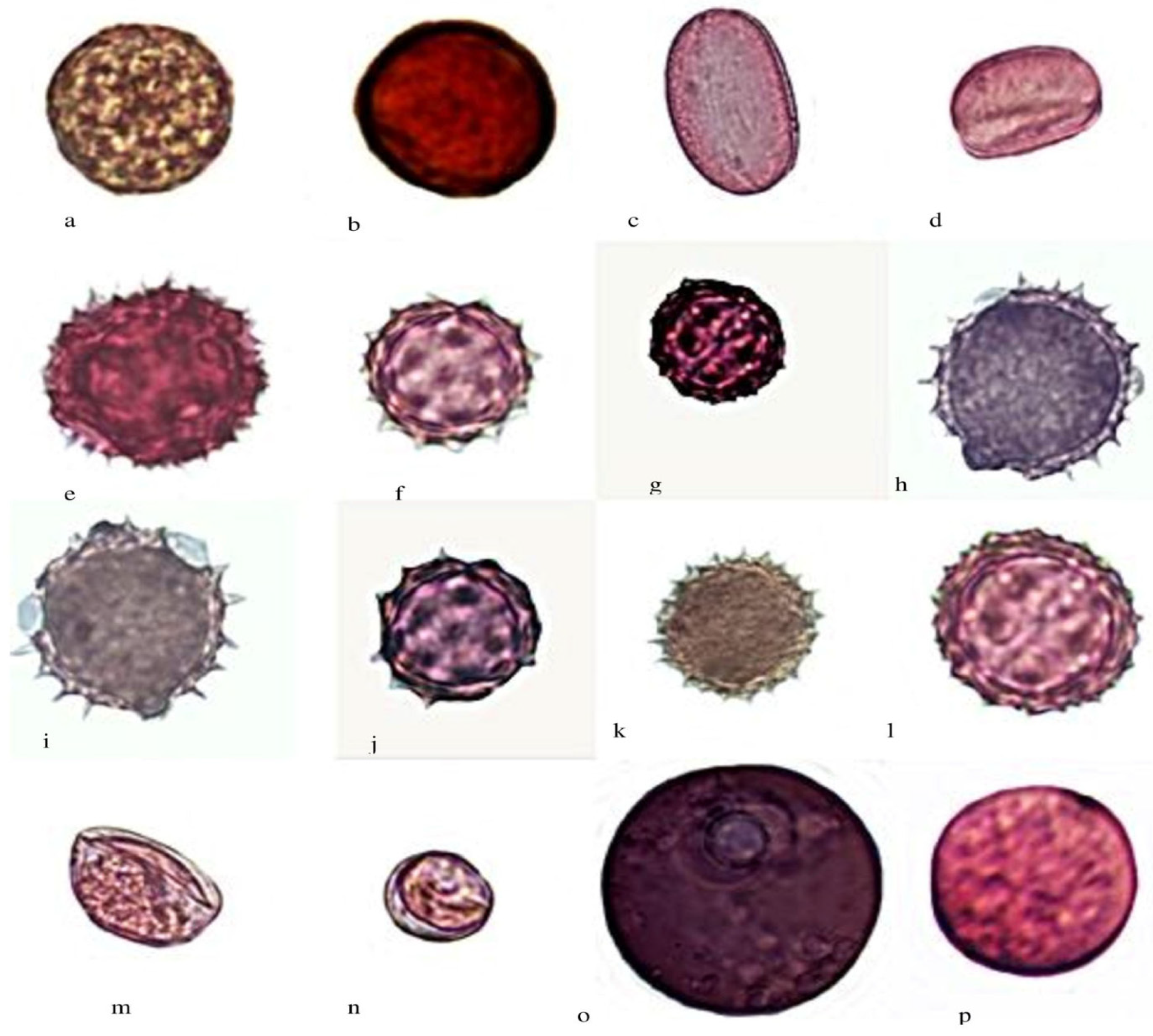 Agronomy 13 00269 g005