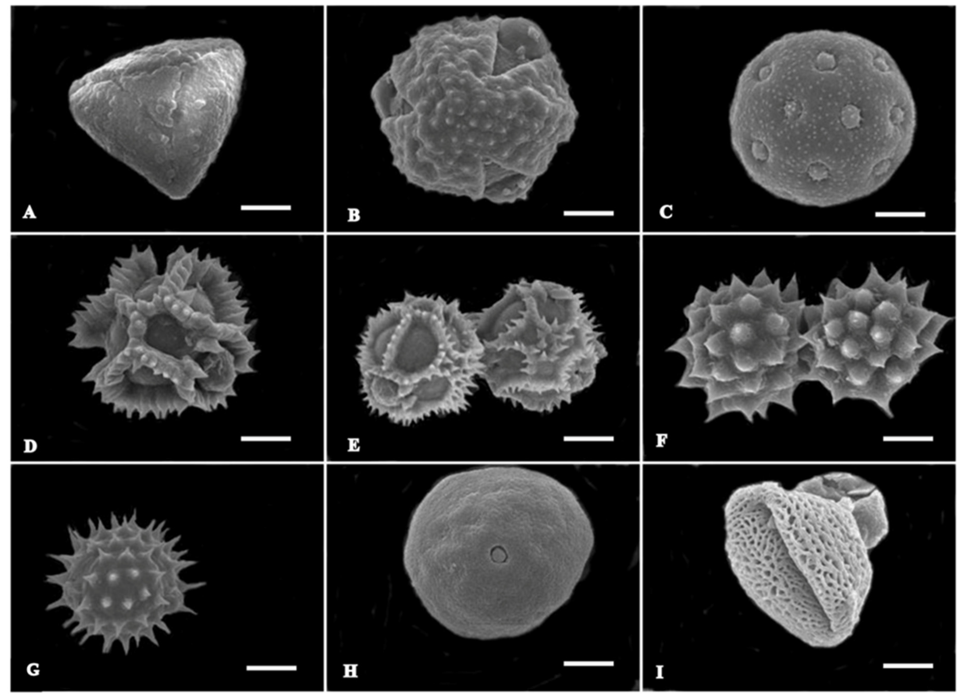 Agronomy 13 00269 g007