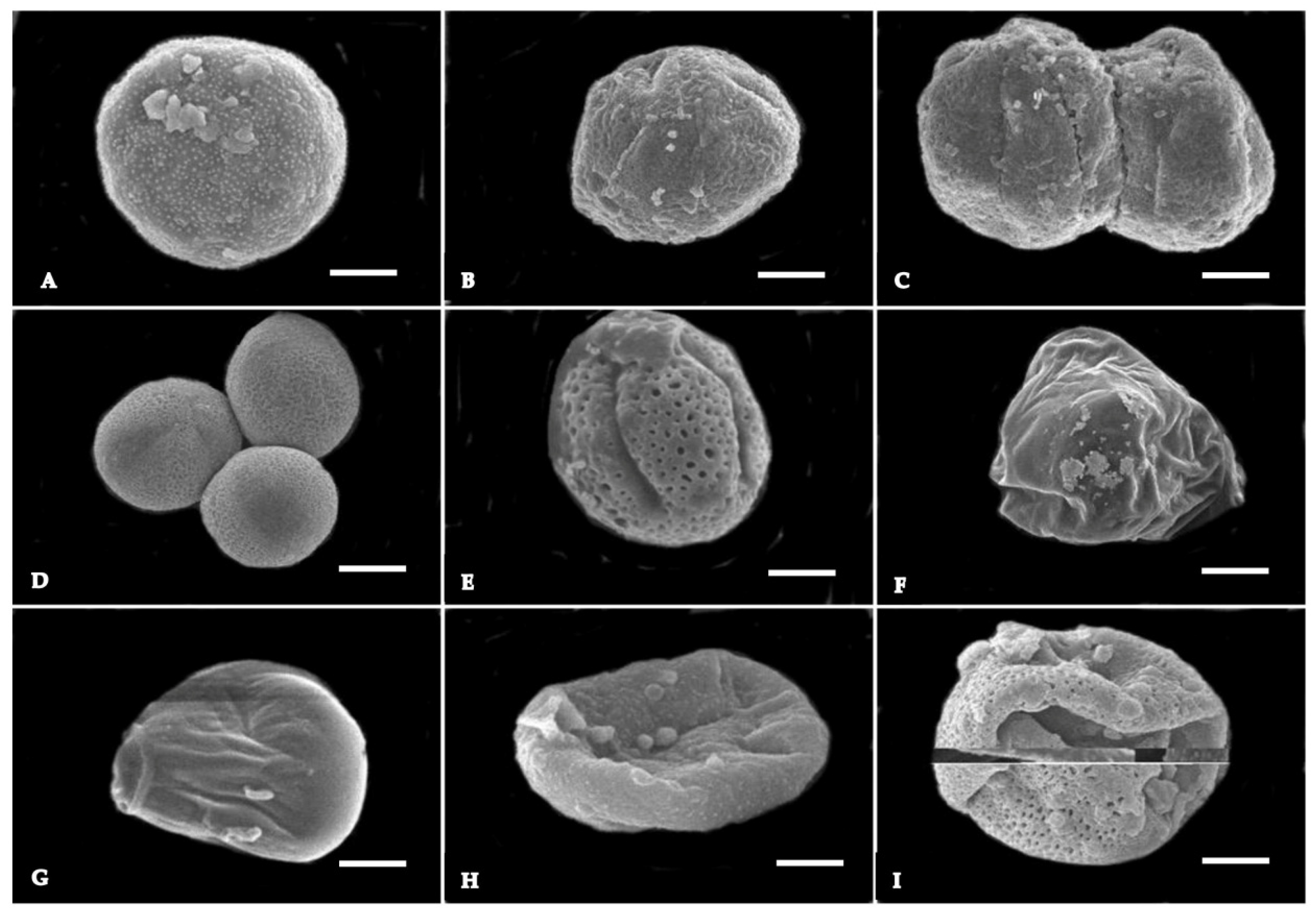 Agronomy 13 00269 g008