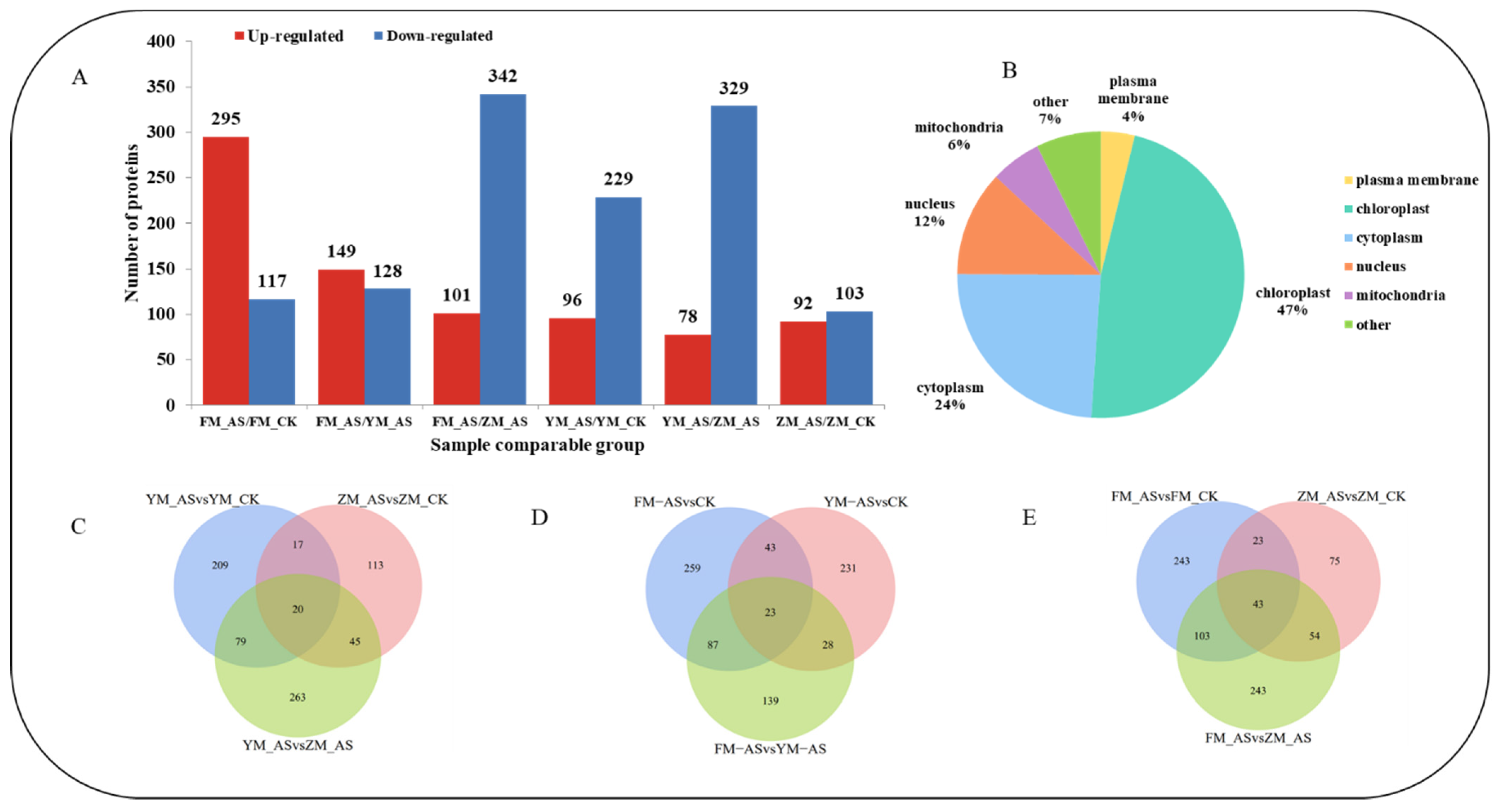 Agronomy 13 00272 g004 Agronomy 13 00272 g004
