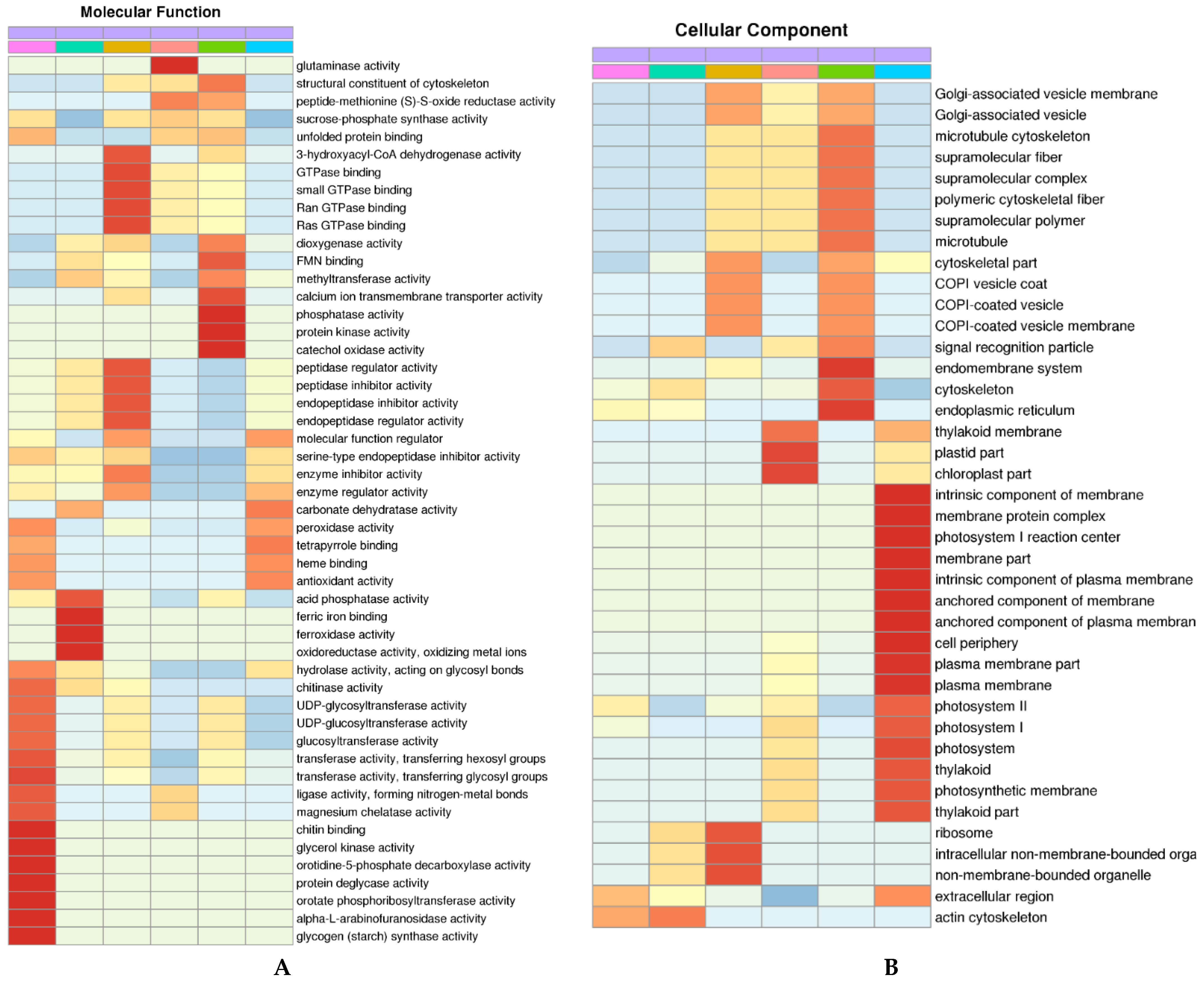 Agronomy 13 00272 g005a Agronomy 13 00272 g005a