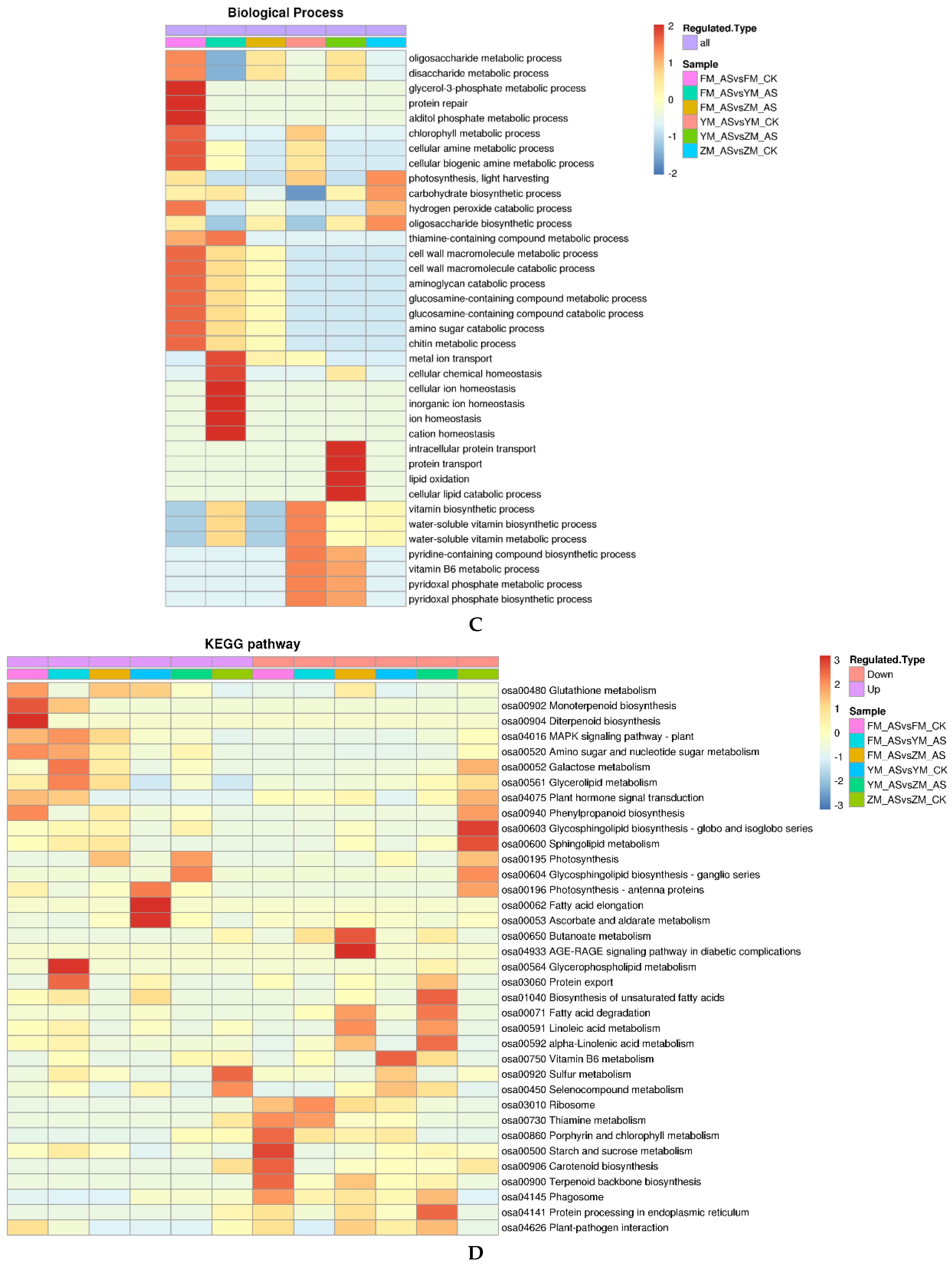 Agronomy 13 00272 g005b Agronomy 13 00272 g005b