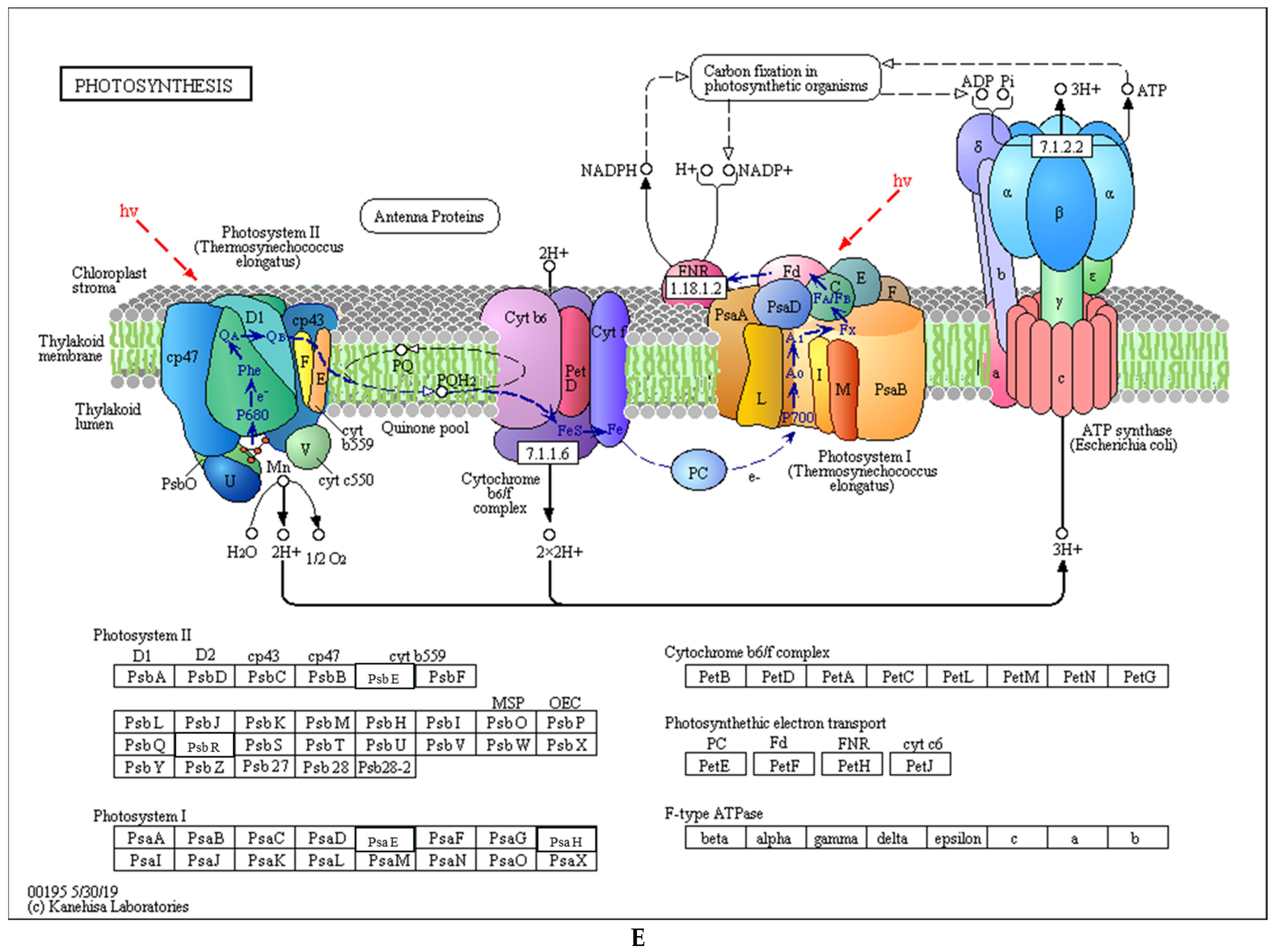 Agronomy 13 00272 g005c Agronomy 13 00272 g005c