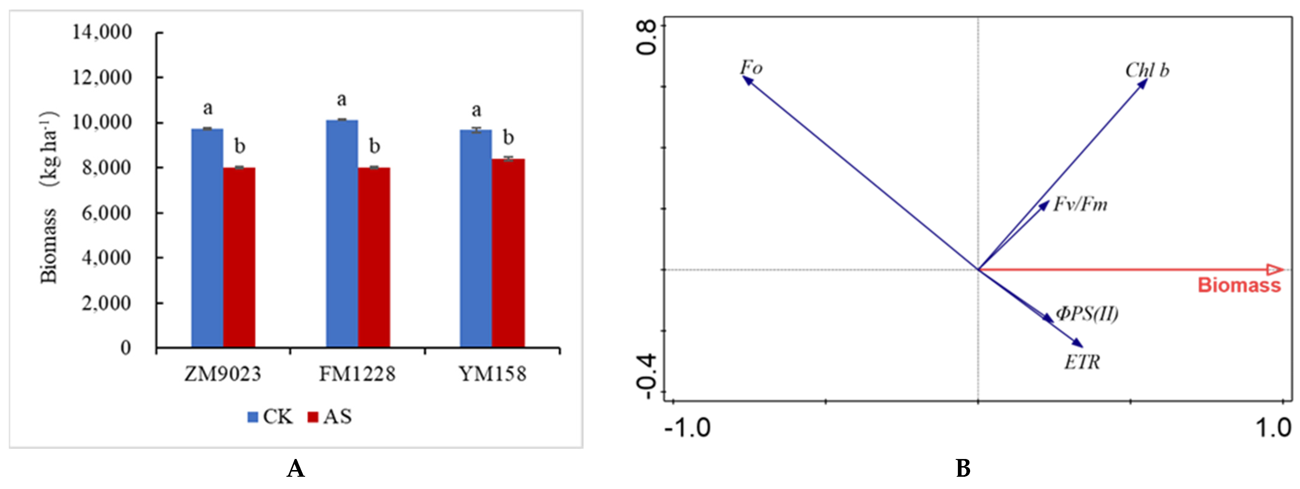Agronomy 13 00272 g006 Agronomy 13 00272 g006