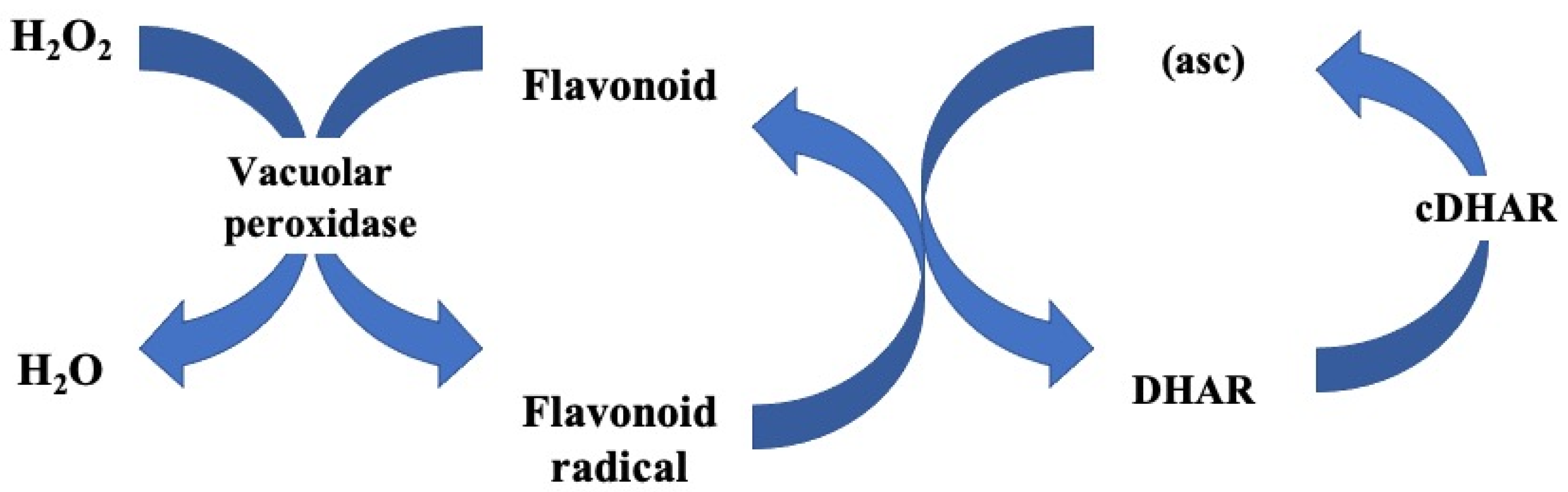 Agronomy 13 00280 g002