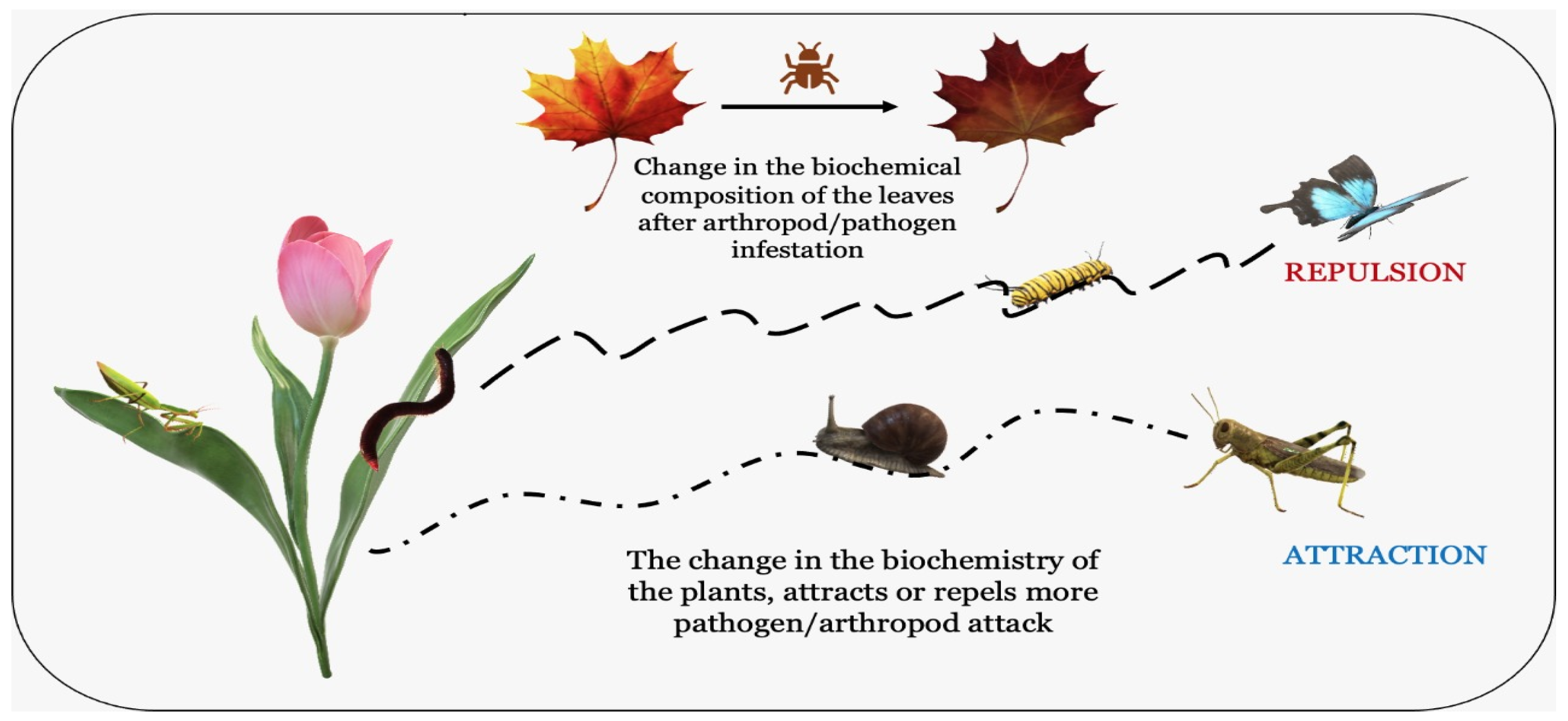 Agronomy 13 00280 g003 Agronomy 13 00280 g003